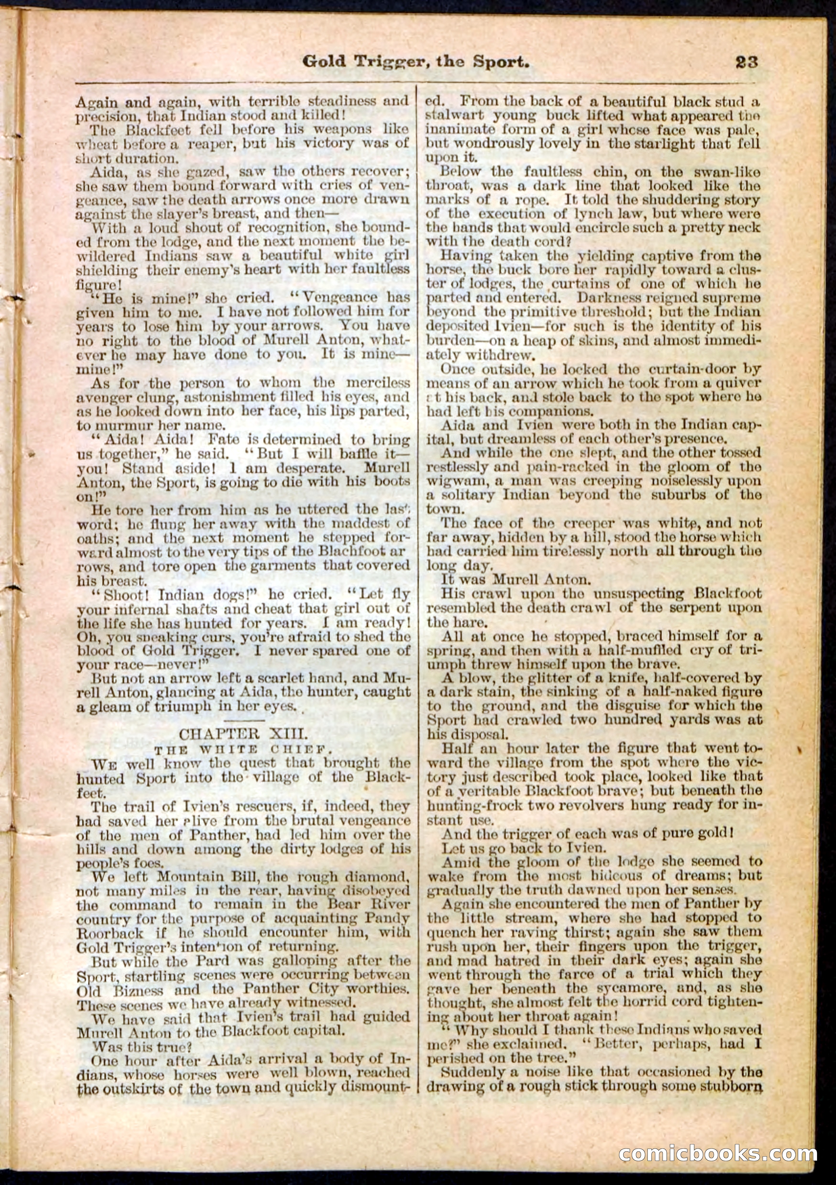 Beadle's Pocket Library No. 130 — page 23 of 32