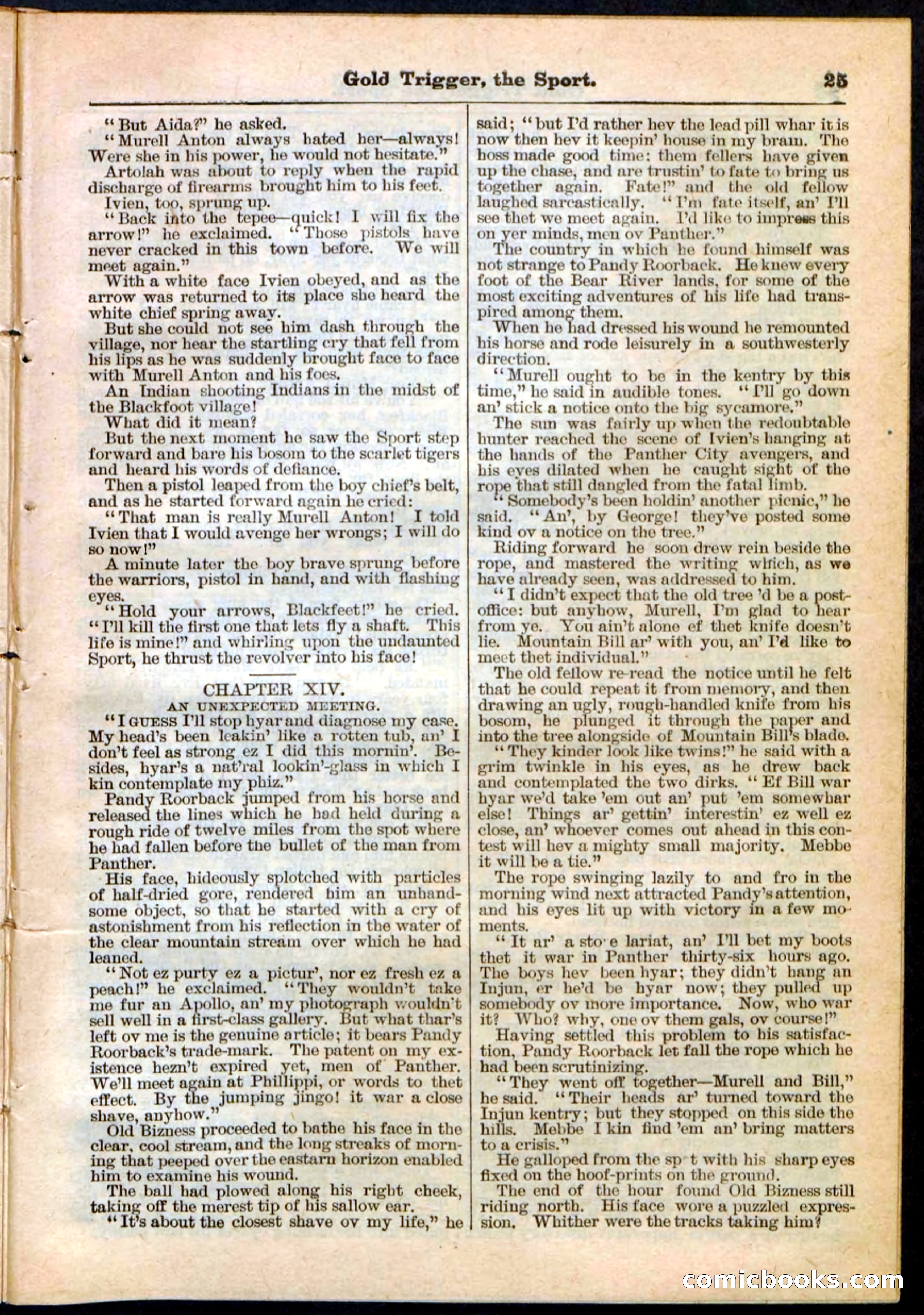 Beadle's Pocket Library No. 130 — page 25 of 32