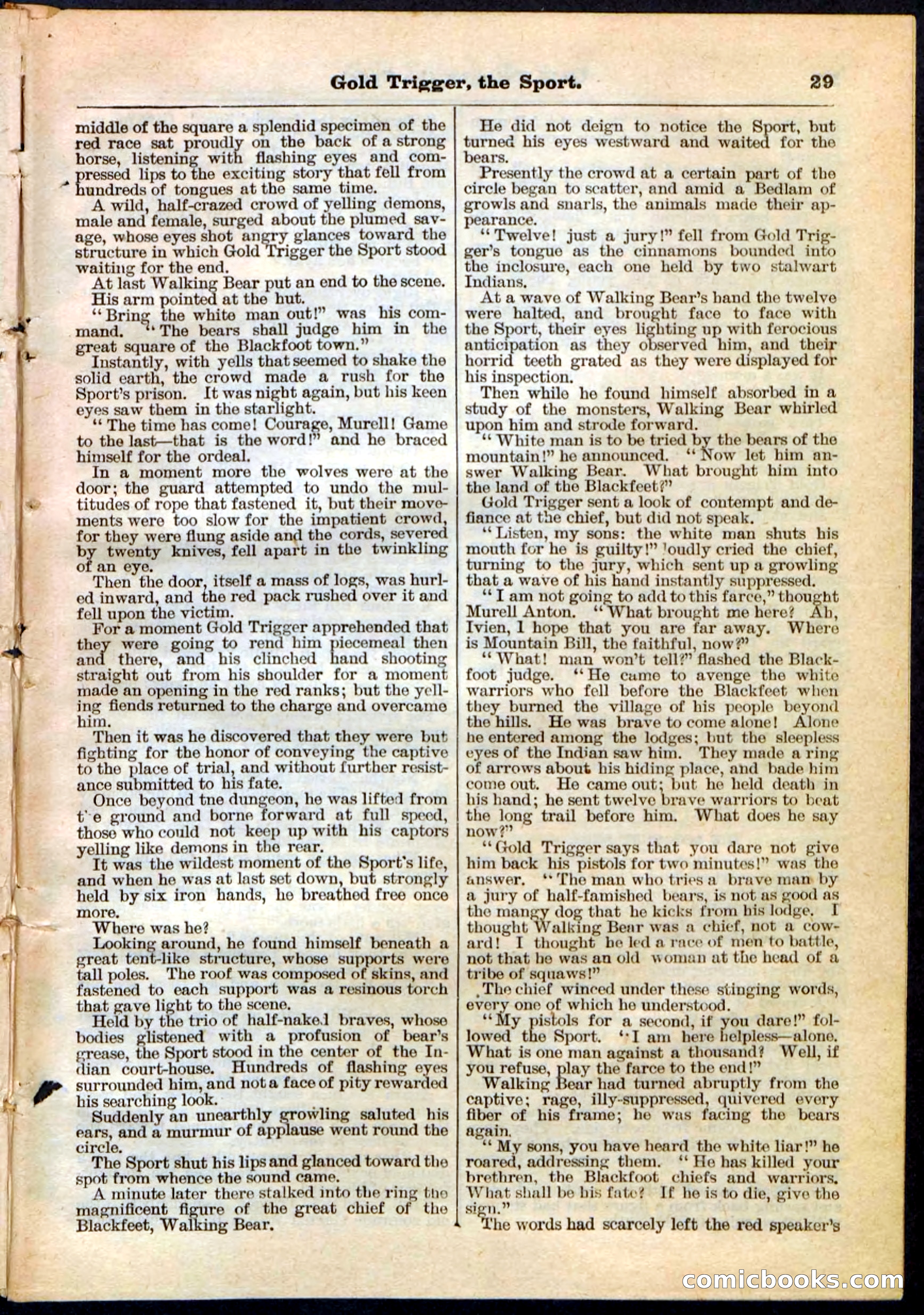 Beadle's Pocket Library No. 130 — page 29 of 32