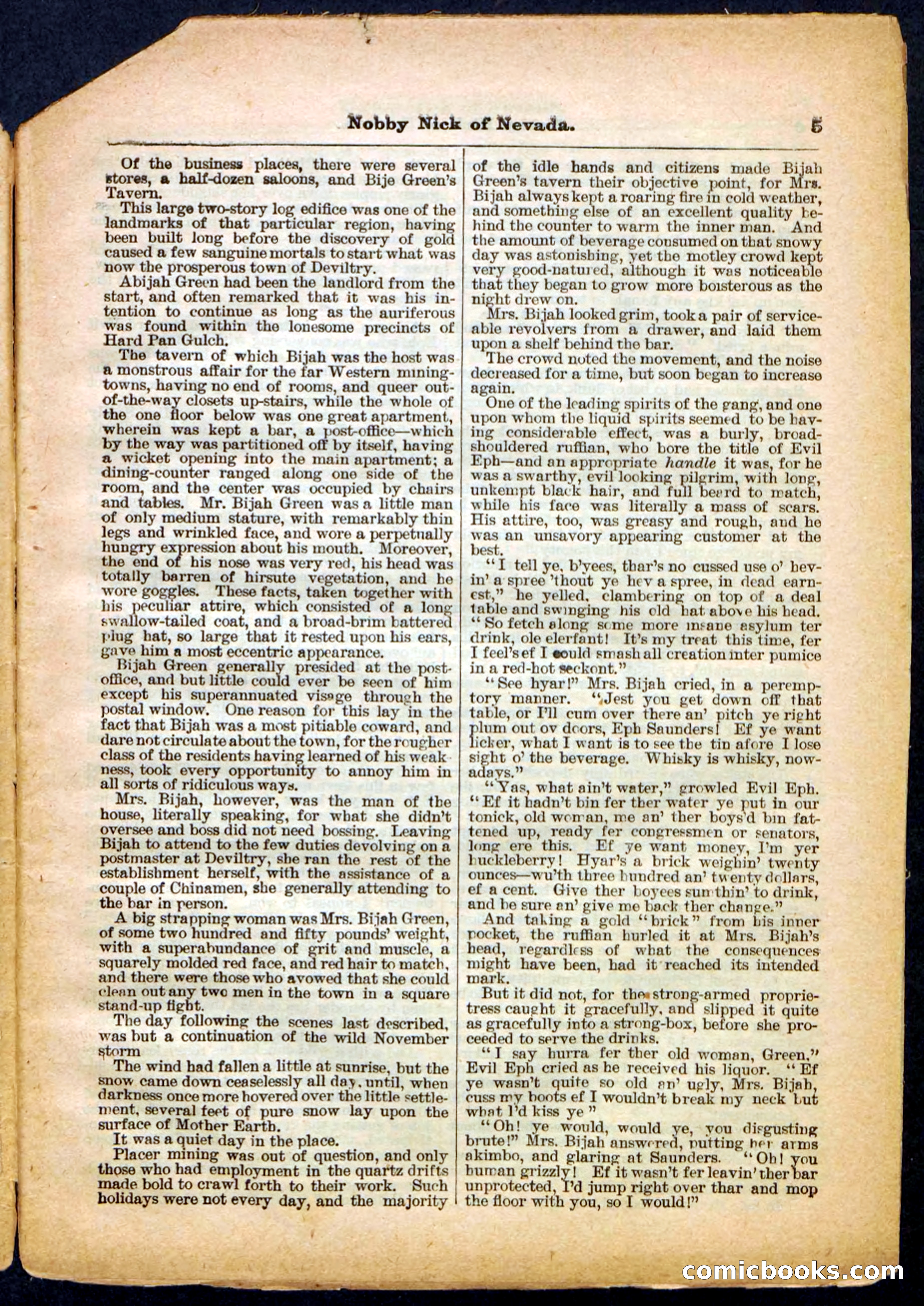 Beadle's Pocket Library No. 147 — page 5 of 32