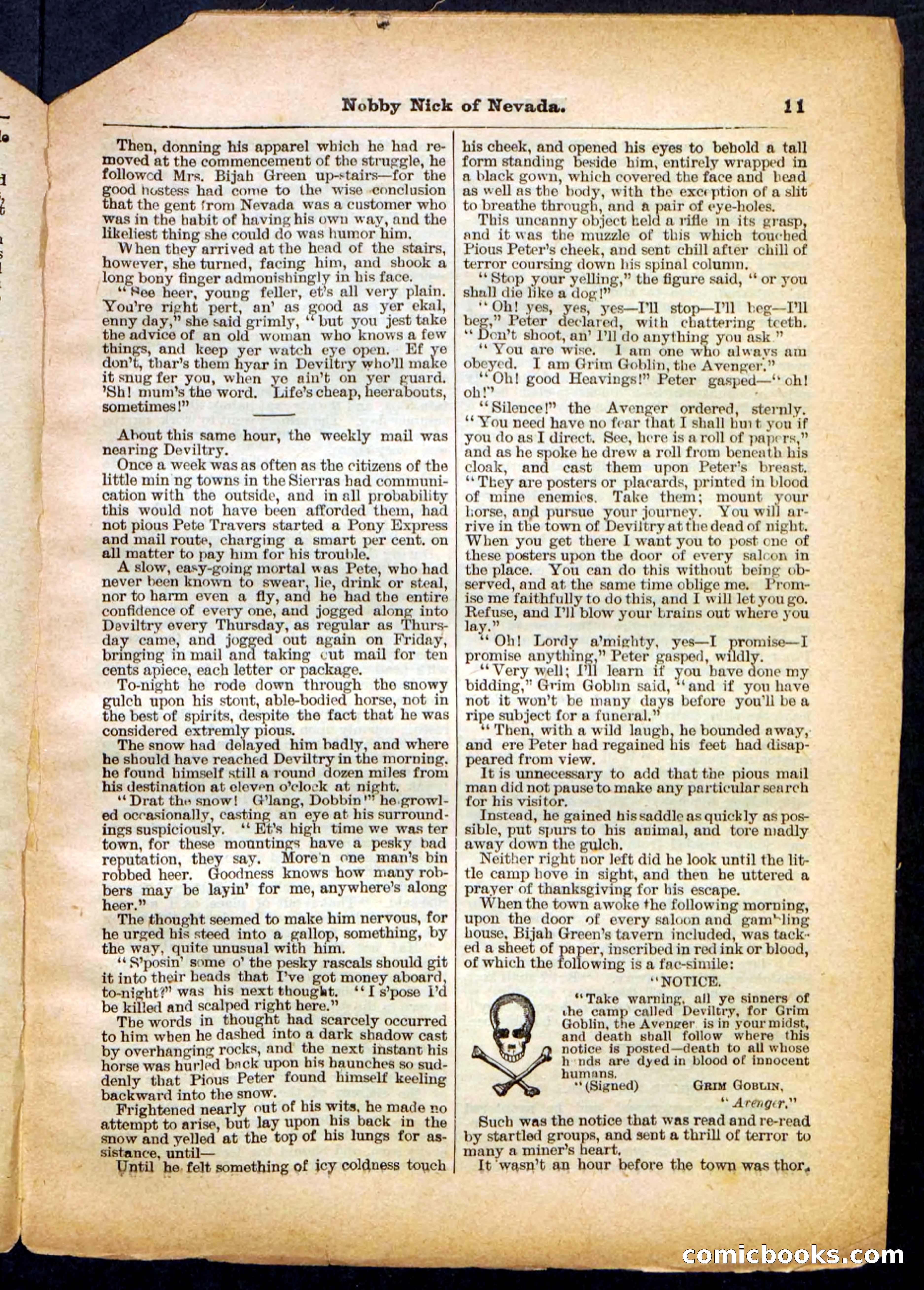 Beadle's Pocket Library No. 147 — page 11 of 32