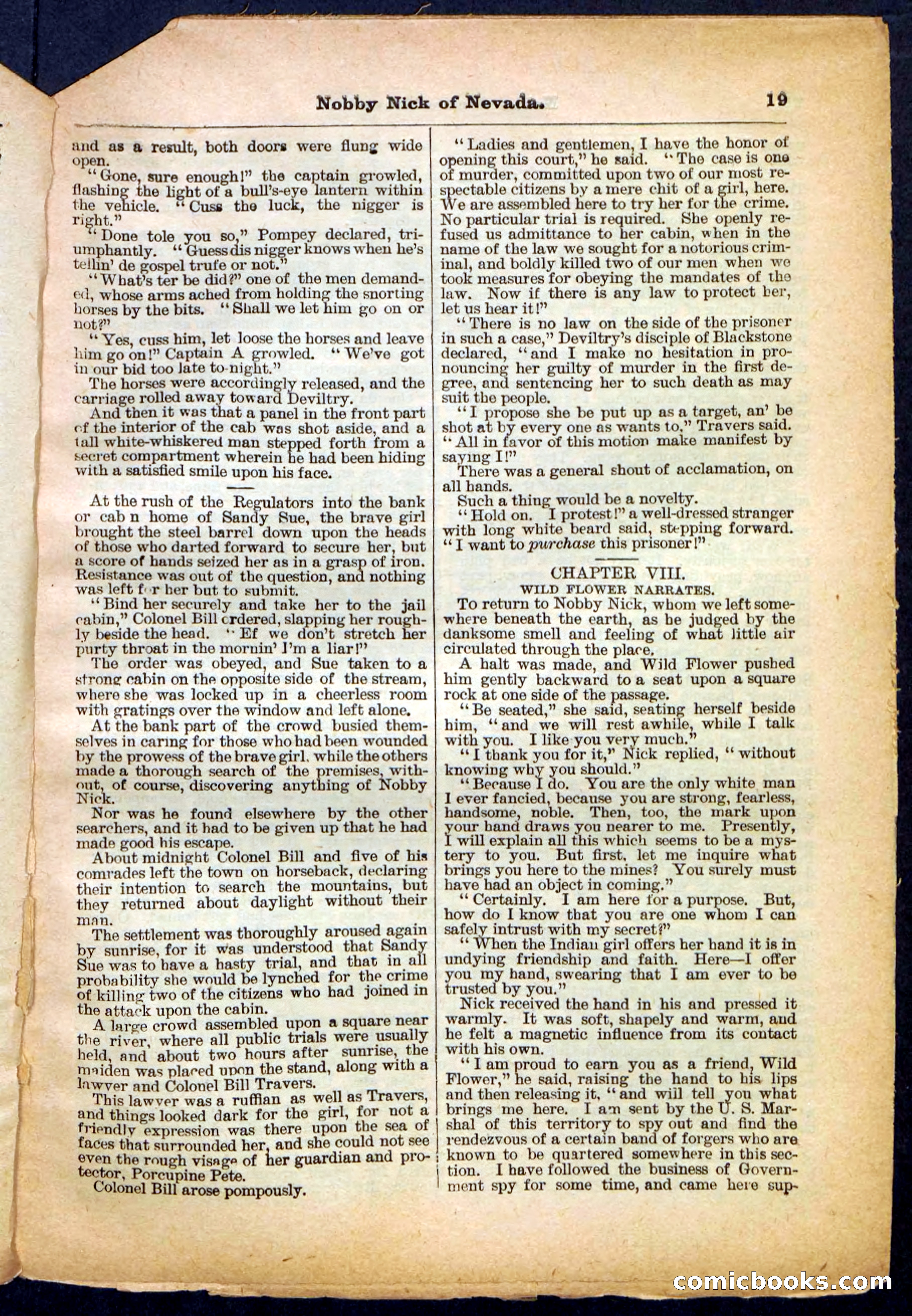 Beadle's Pocket Library No. 147 — page 19 of 32