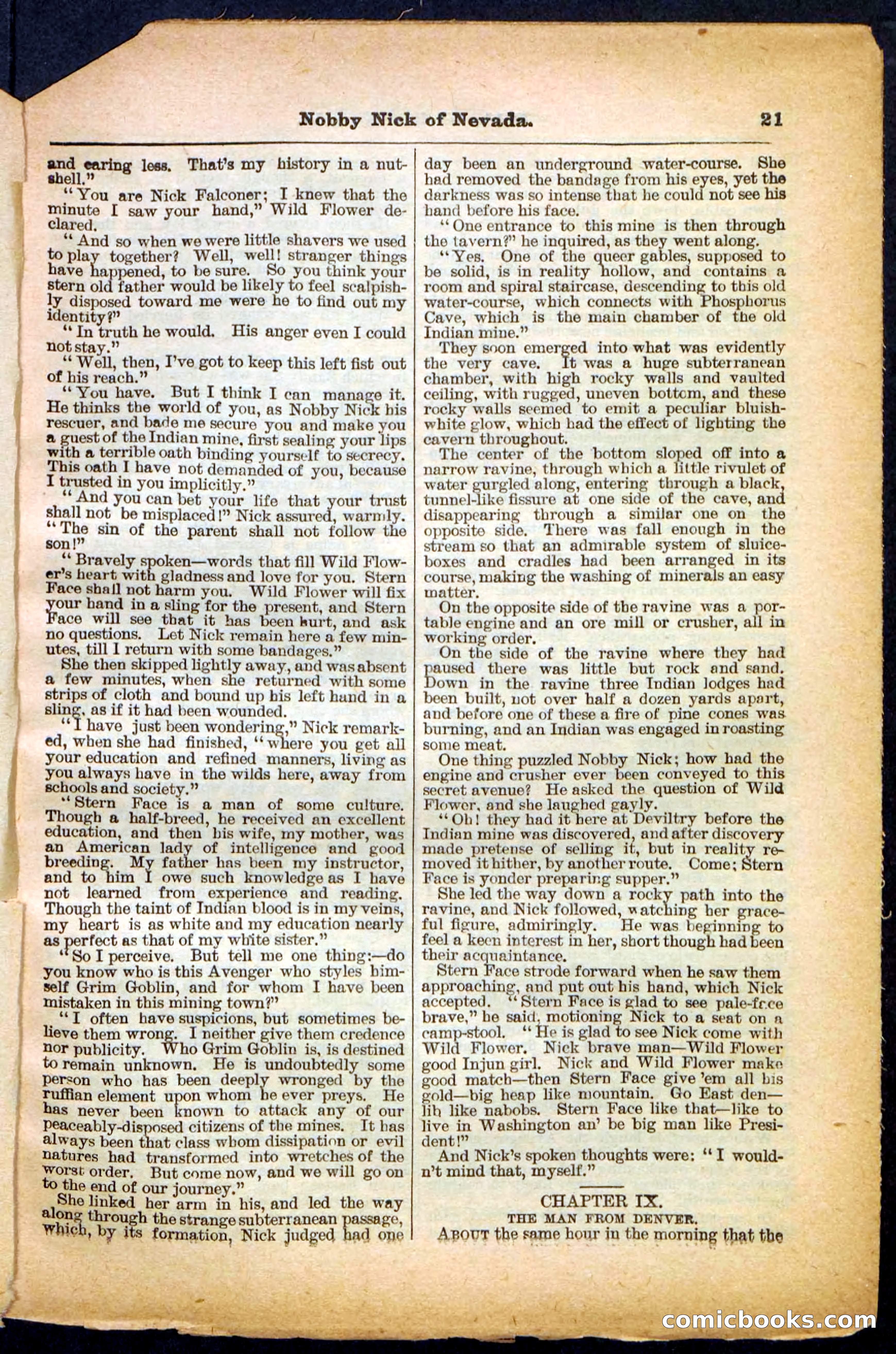 Beadle's Pocket Library No. 147 — page 21 of 32