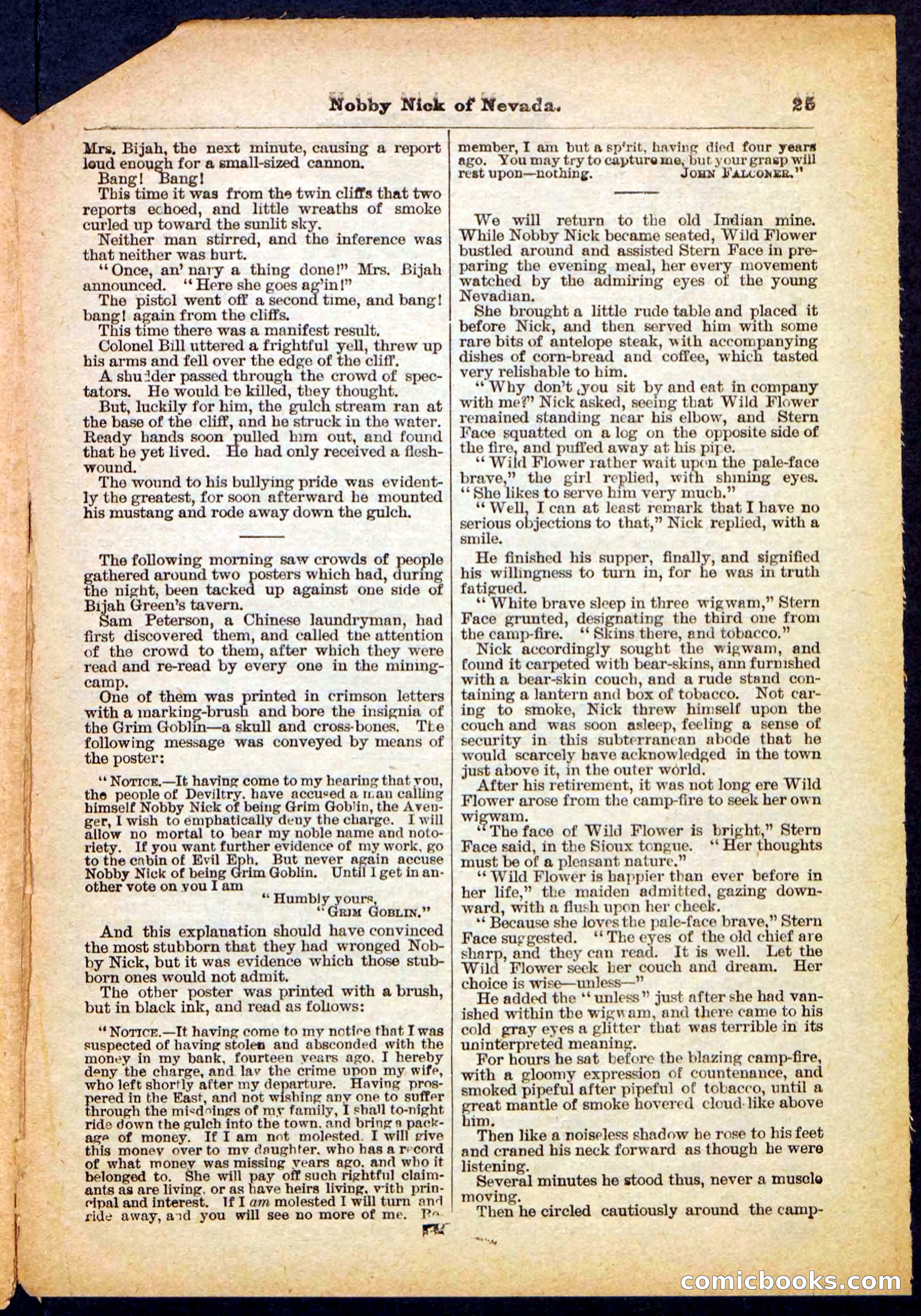 Beadle's Pocket Library No. 147 — page 25 of 32