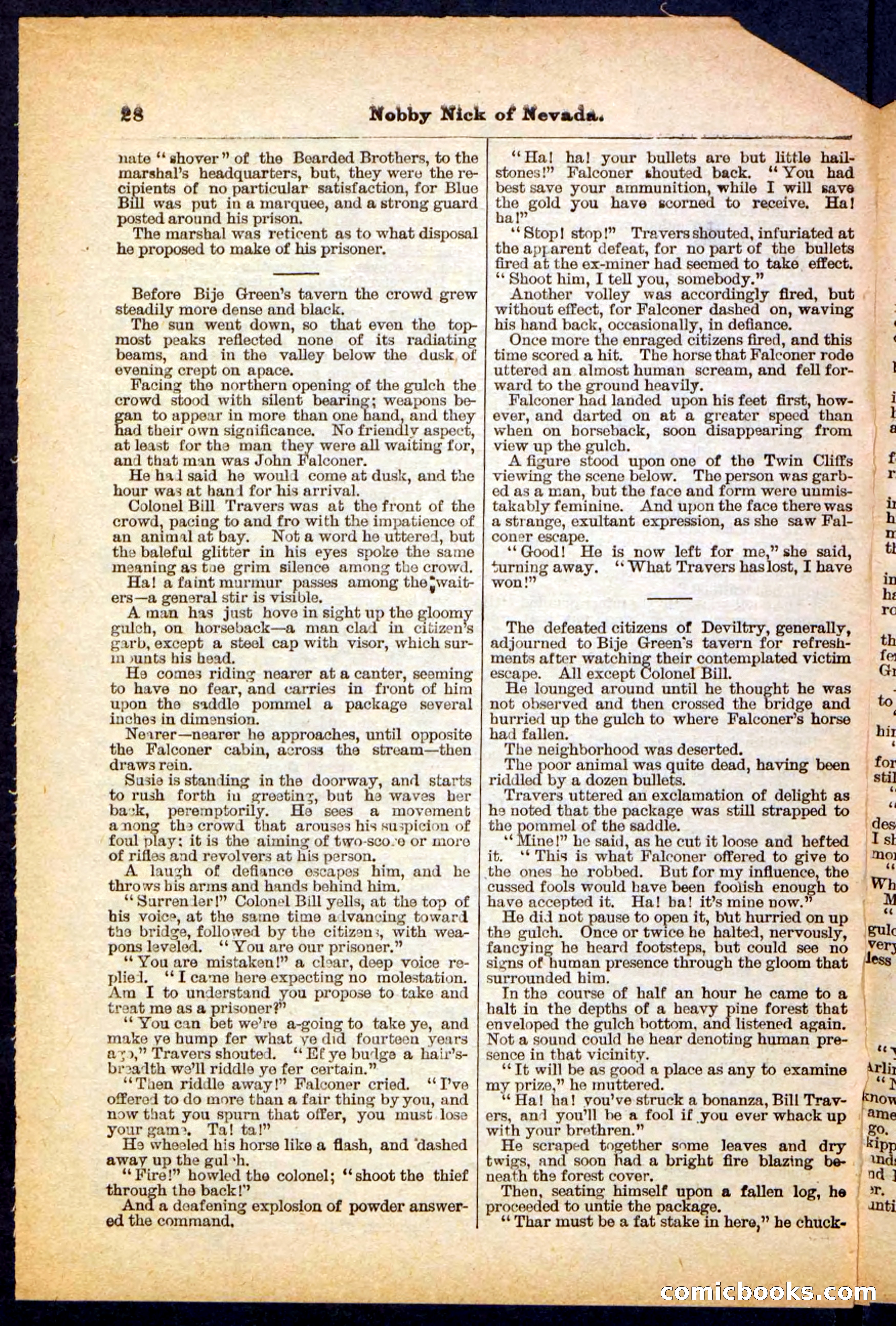 Beadle's Pocket Library No. 147 — page 28 of 32