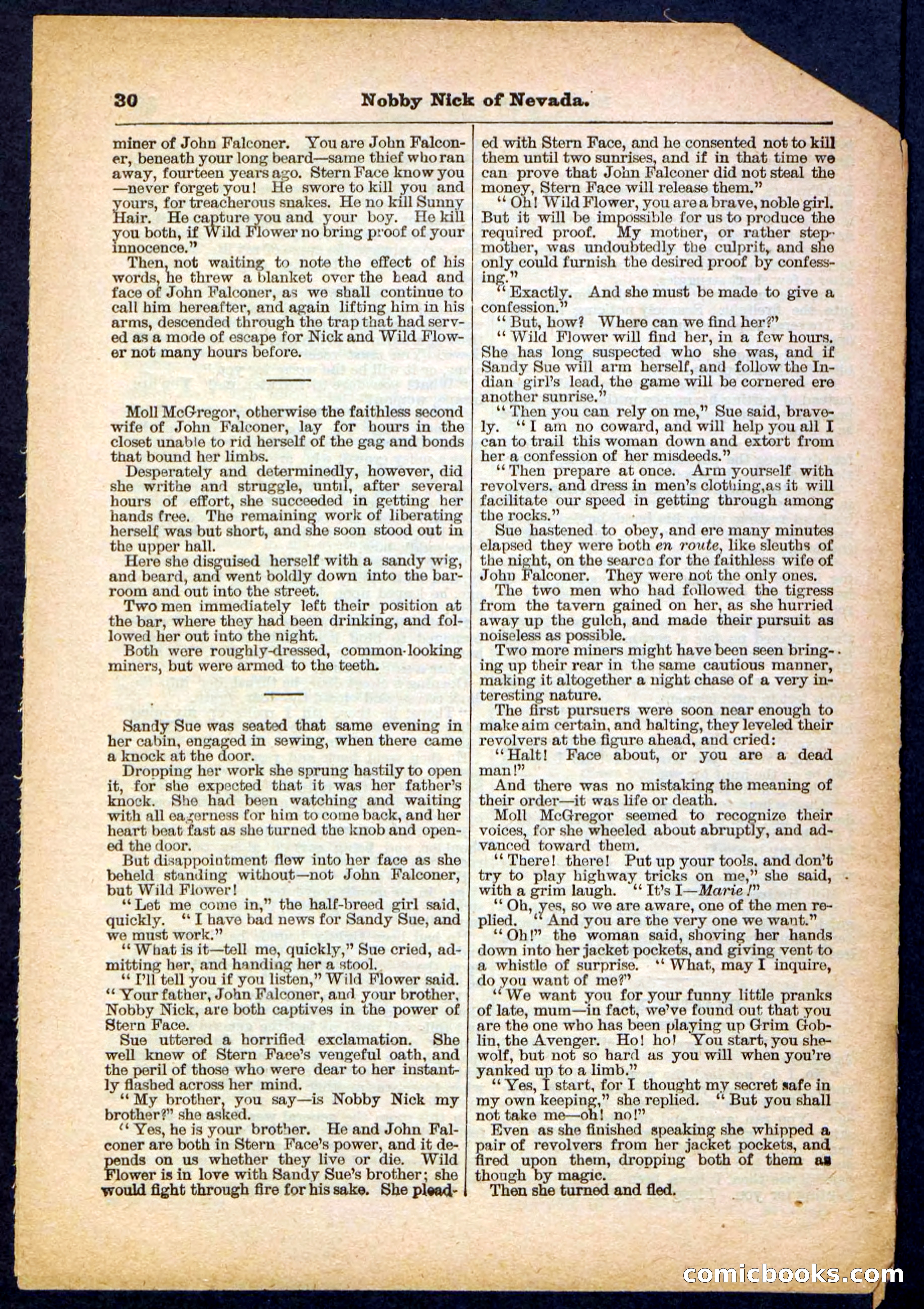 Beadle's Pocket Library No. 147 — page 30 of 32