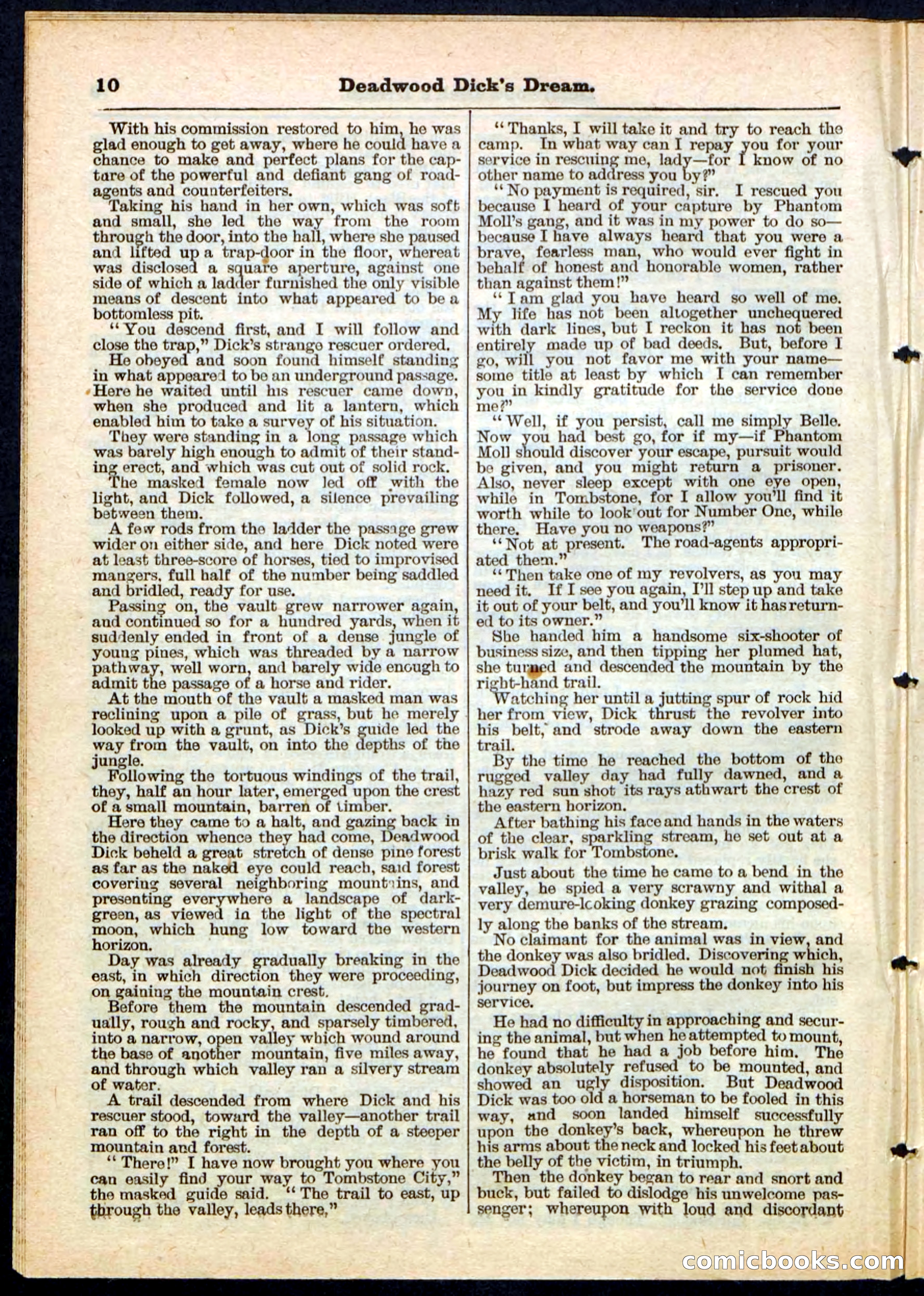 Beadle's Pocket Library No. 163 — page 10 of 32