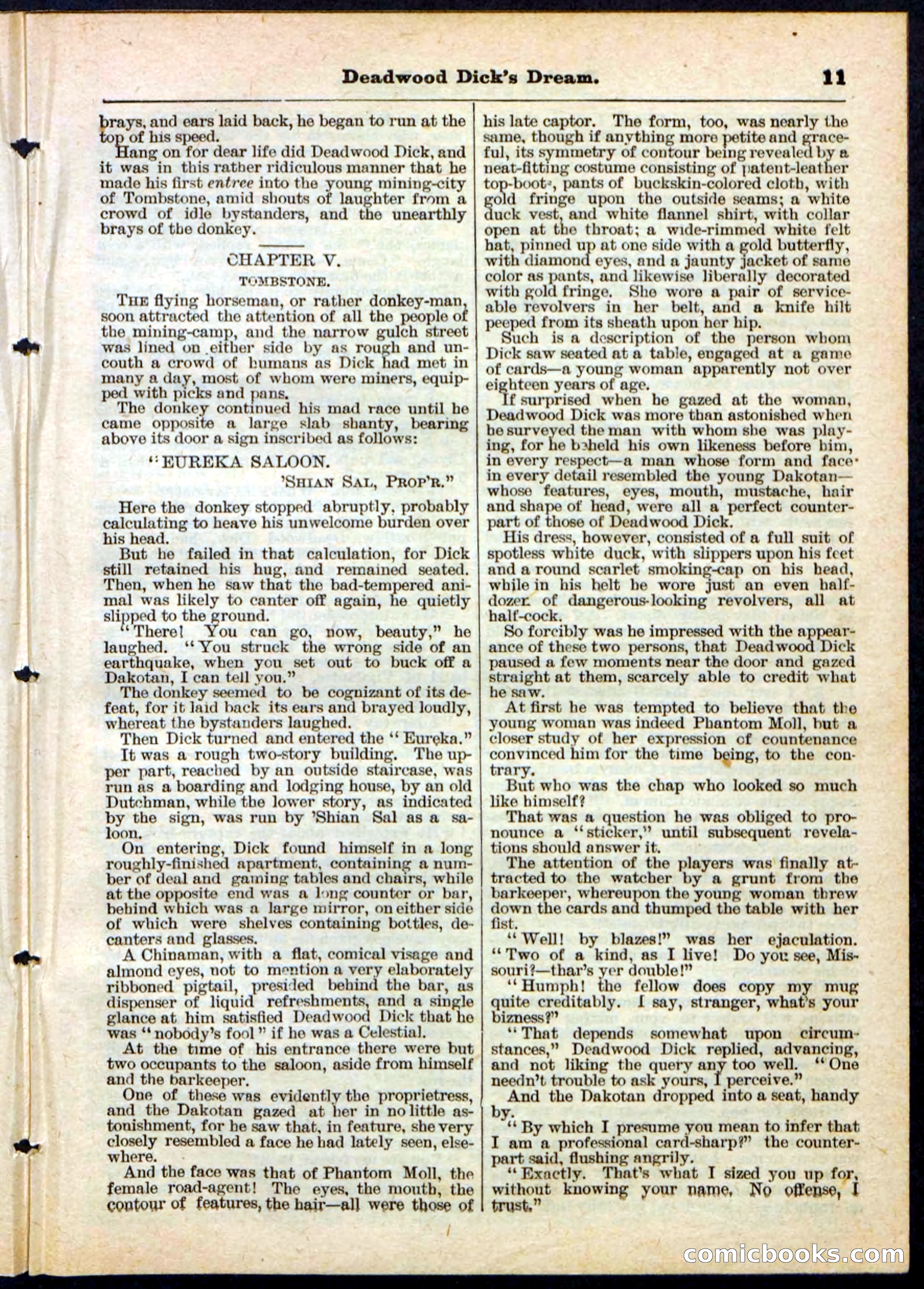Beadle's Pocket Library No. 163 — page 11 of 32