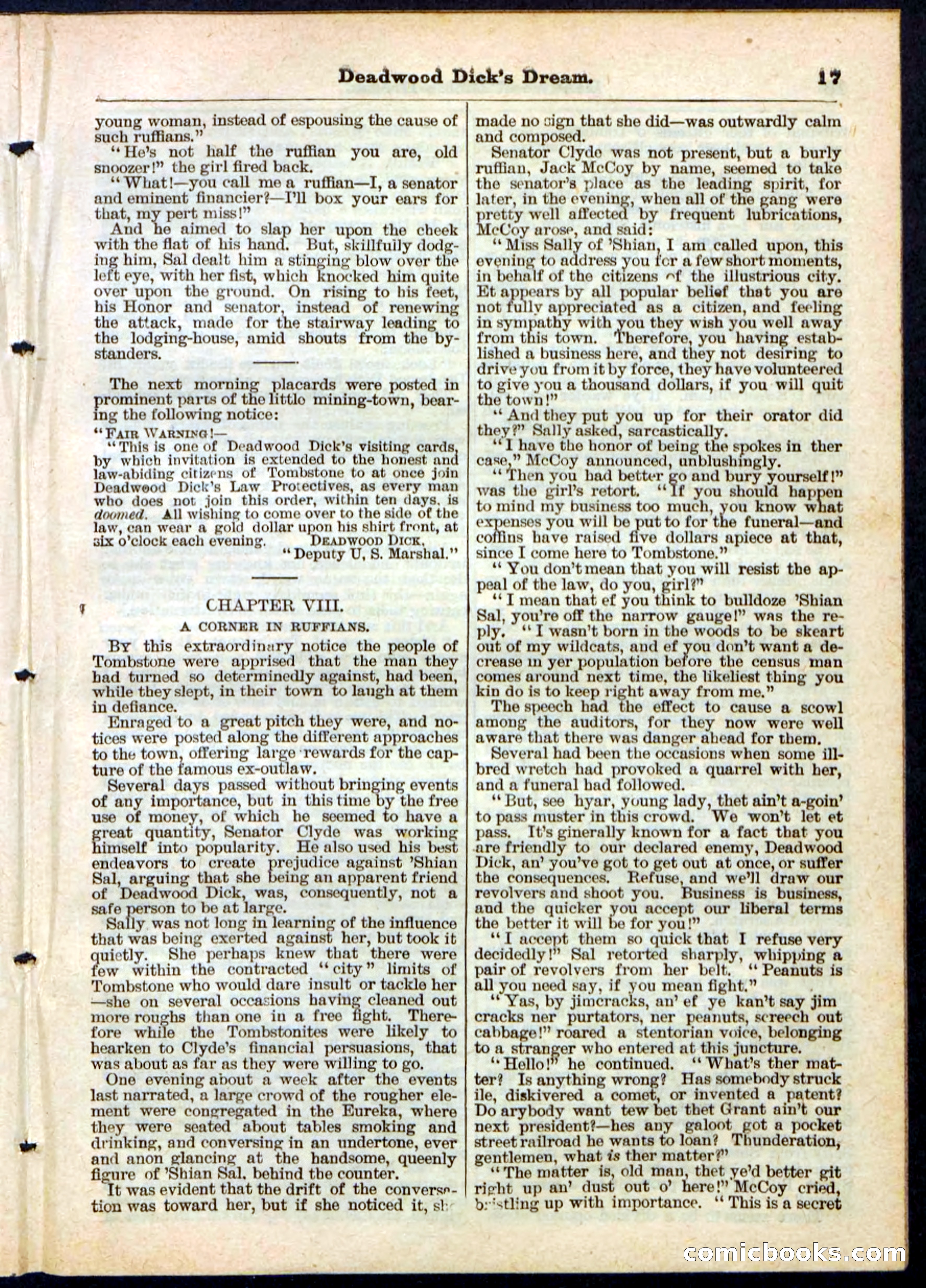 Beadle's Pocket Library No. 163 — page 17 of 32