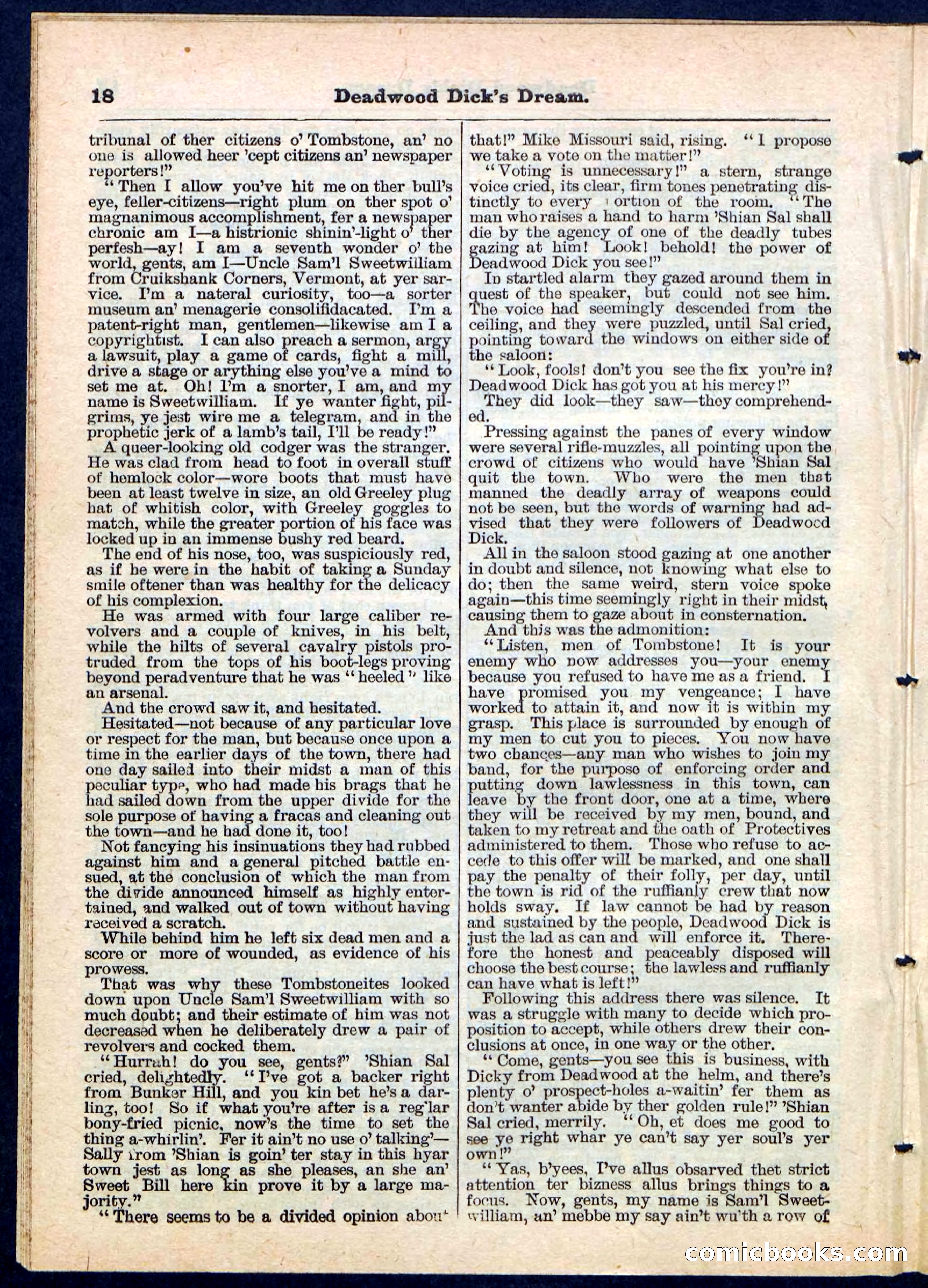 Beadle's Pocket Library No. 163 — page 18 of 32