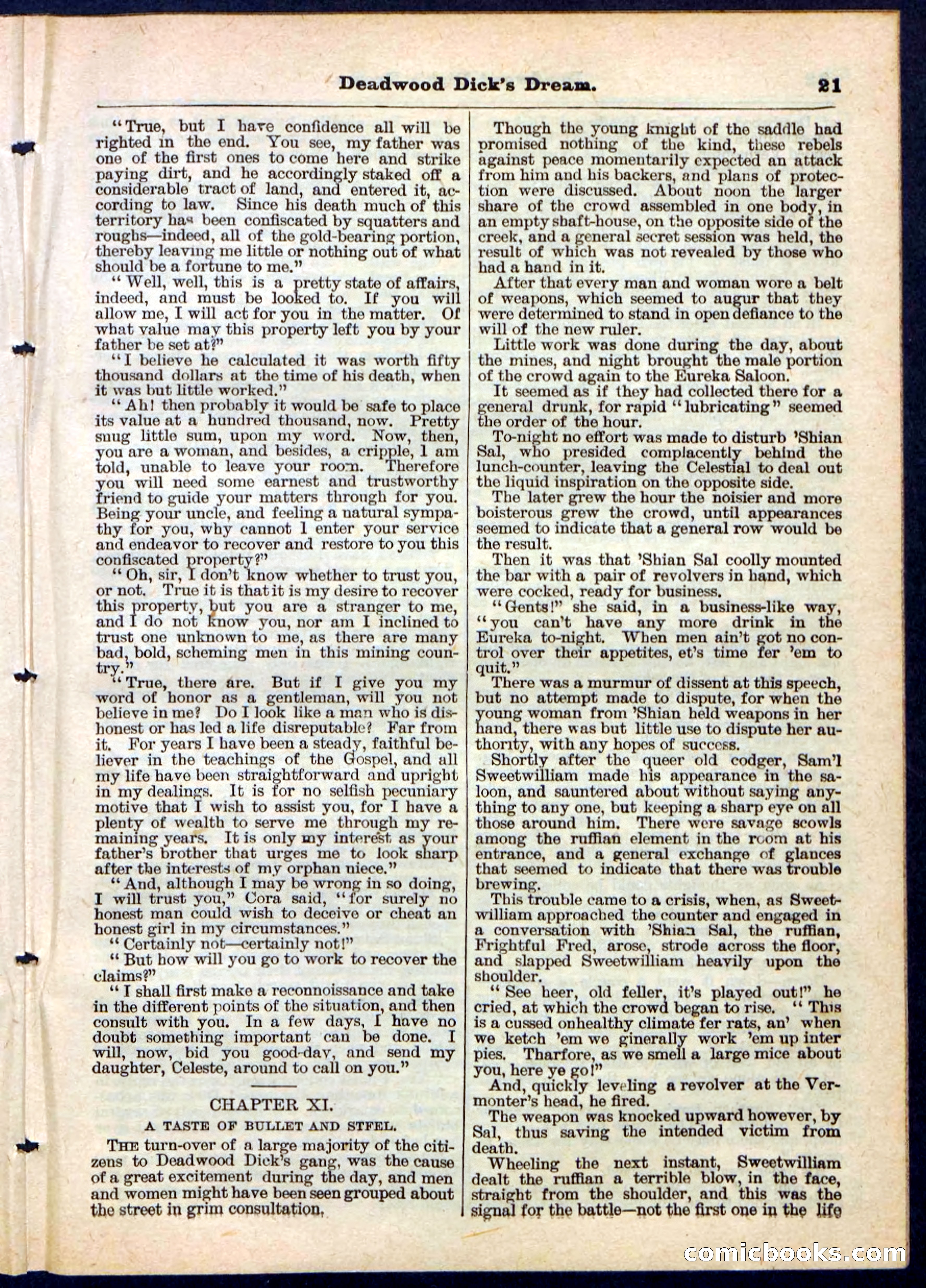 Beadle's Pocket Library No. 163 — page 21 of 32