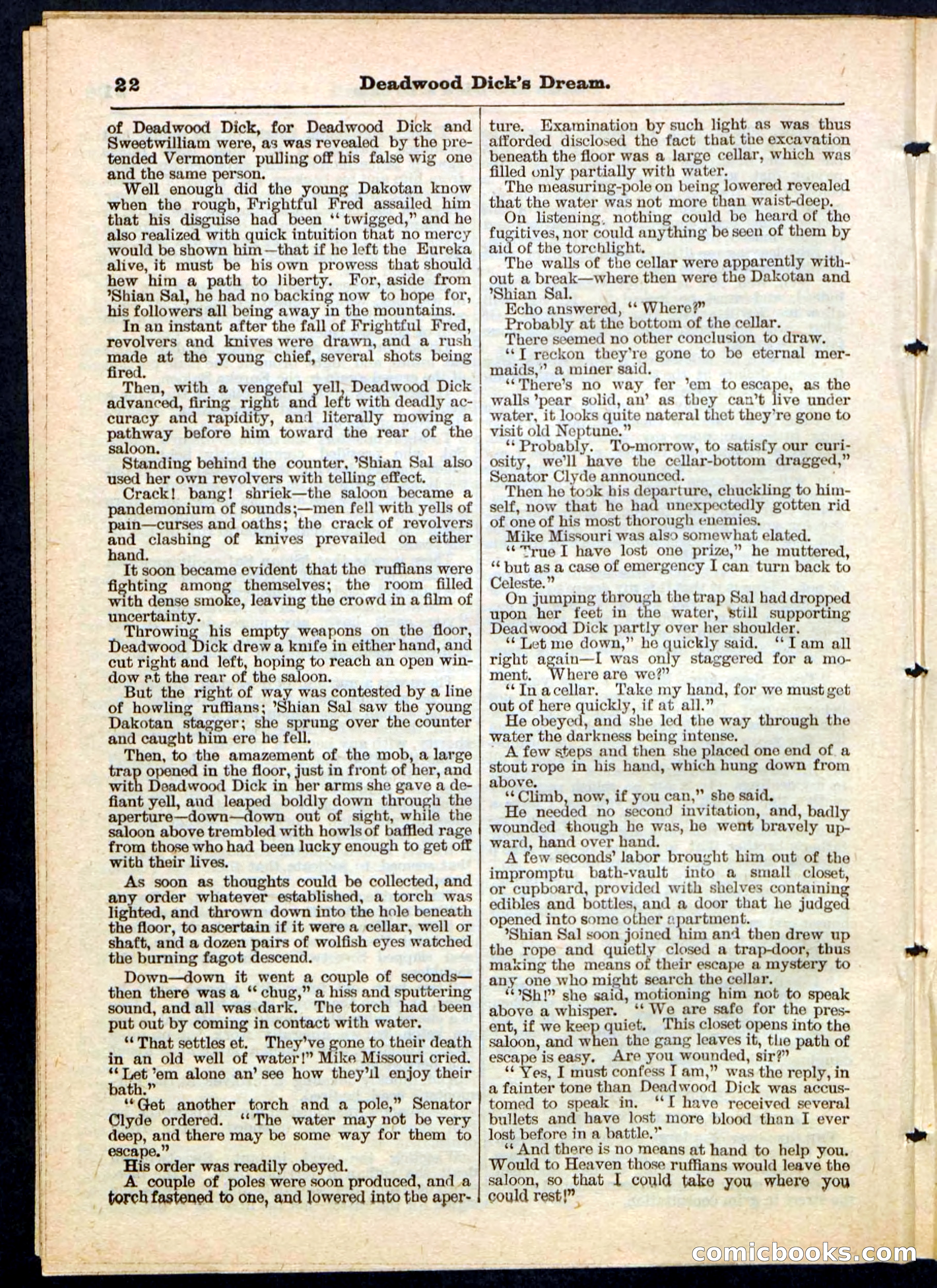 Beadle's Pocket Library No. 163 — page 22 of 32