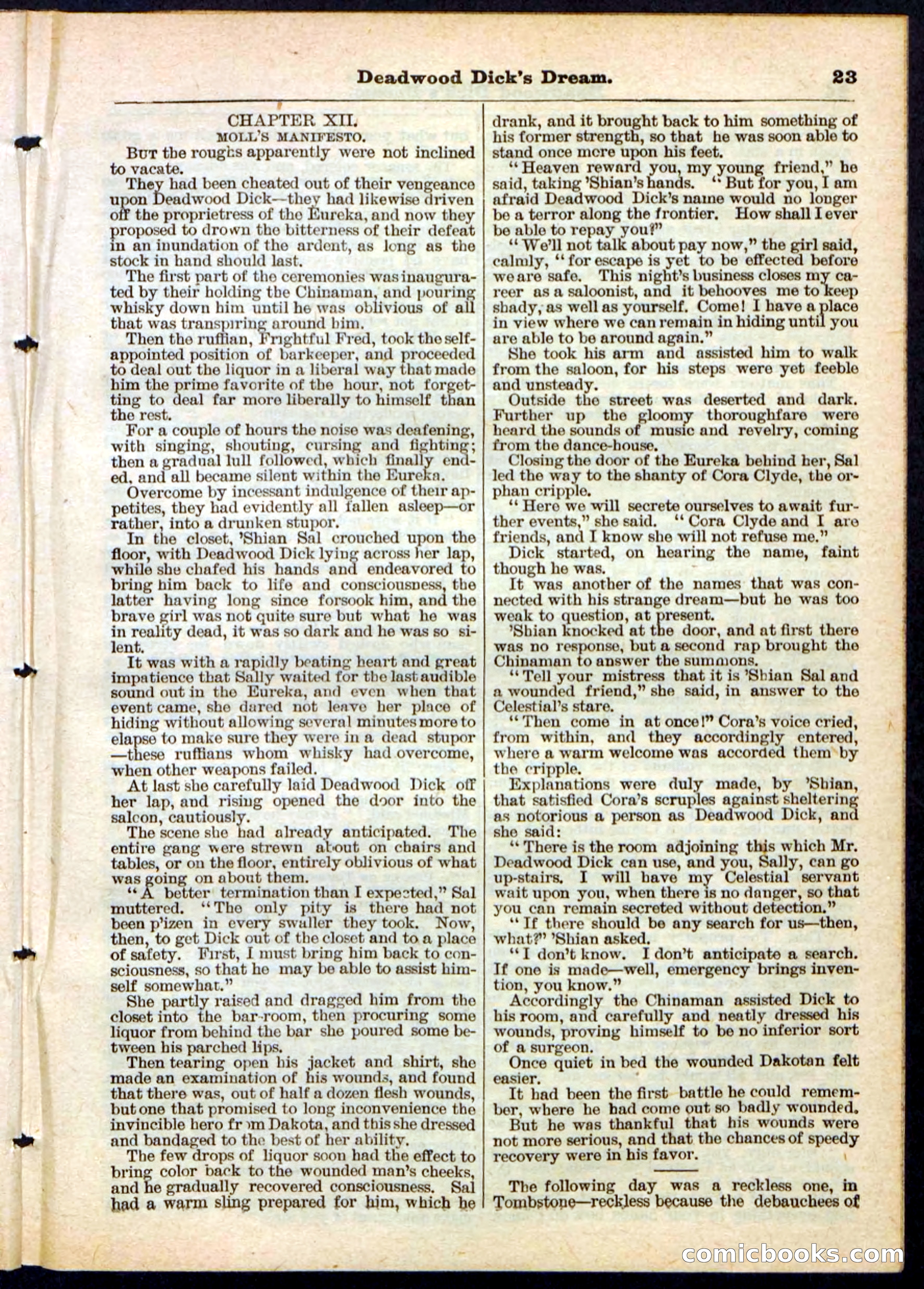 Beadle's Pocket Library No. 163 — page 23 of 32