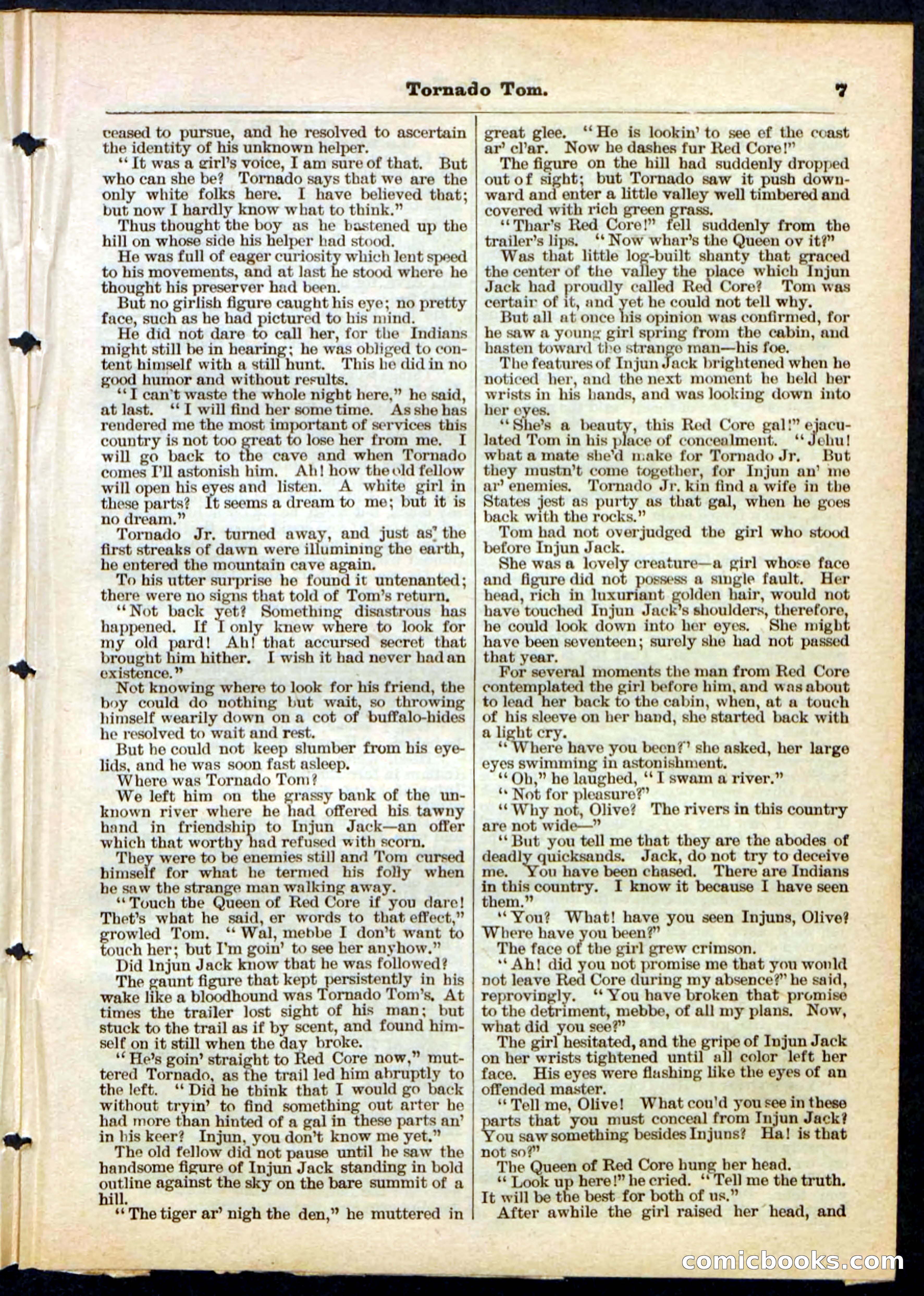 Beadle's Pocket Library No. 164 — page 7 of 32