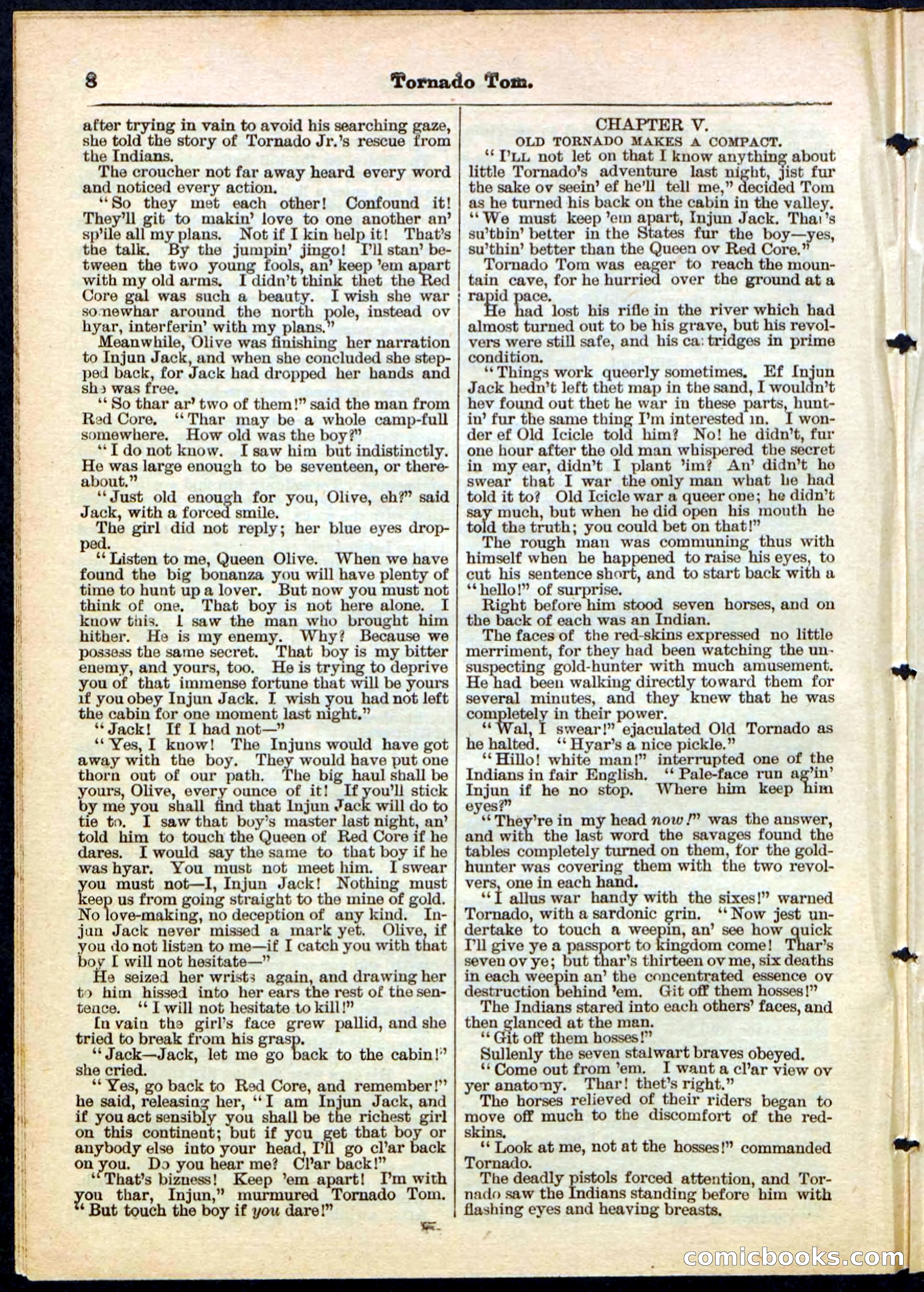 Beadle's Pocket Library No. 164 — page 8 of 32