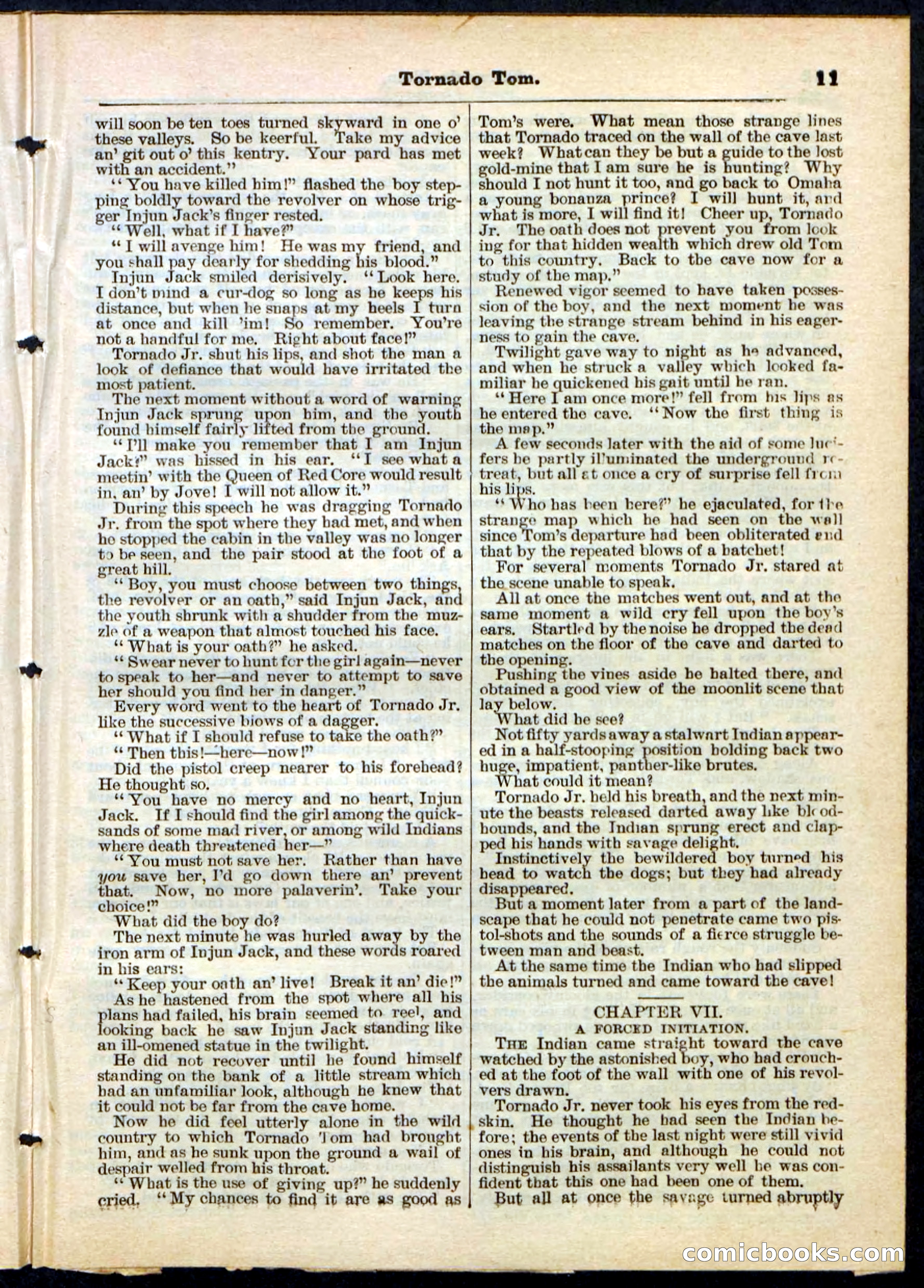 Beadle's Pocket Library No. 164 — page 11 of 32