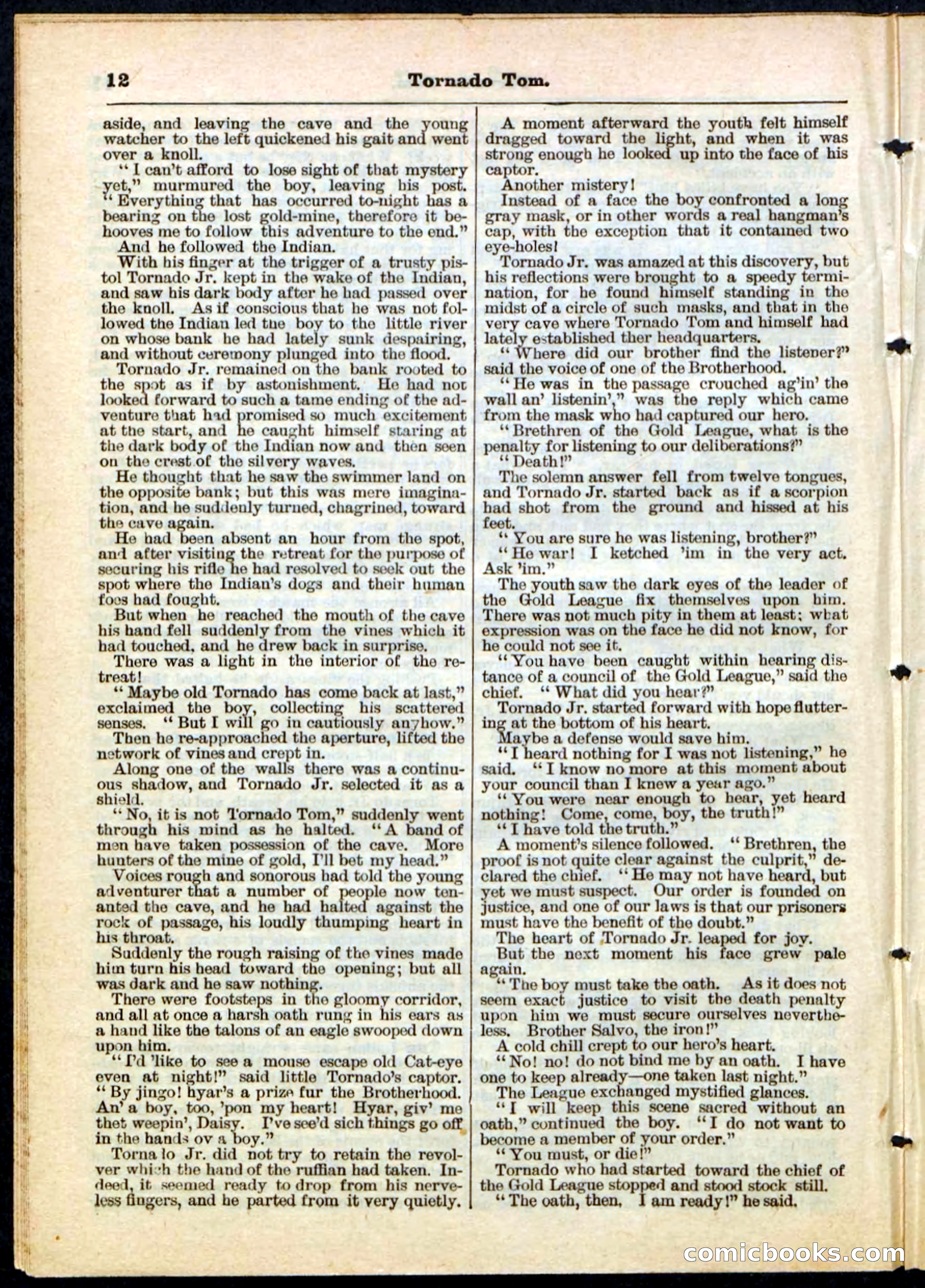 Beadle's Pocket Library No. 164 — page 12 of 32