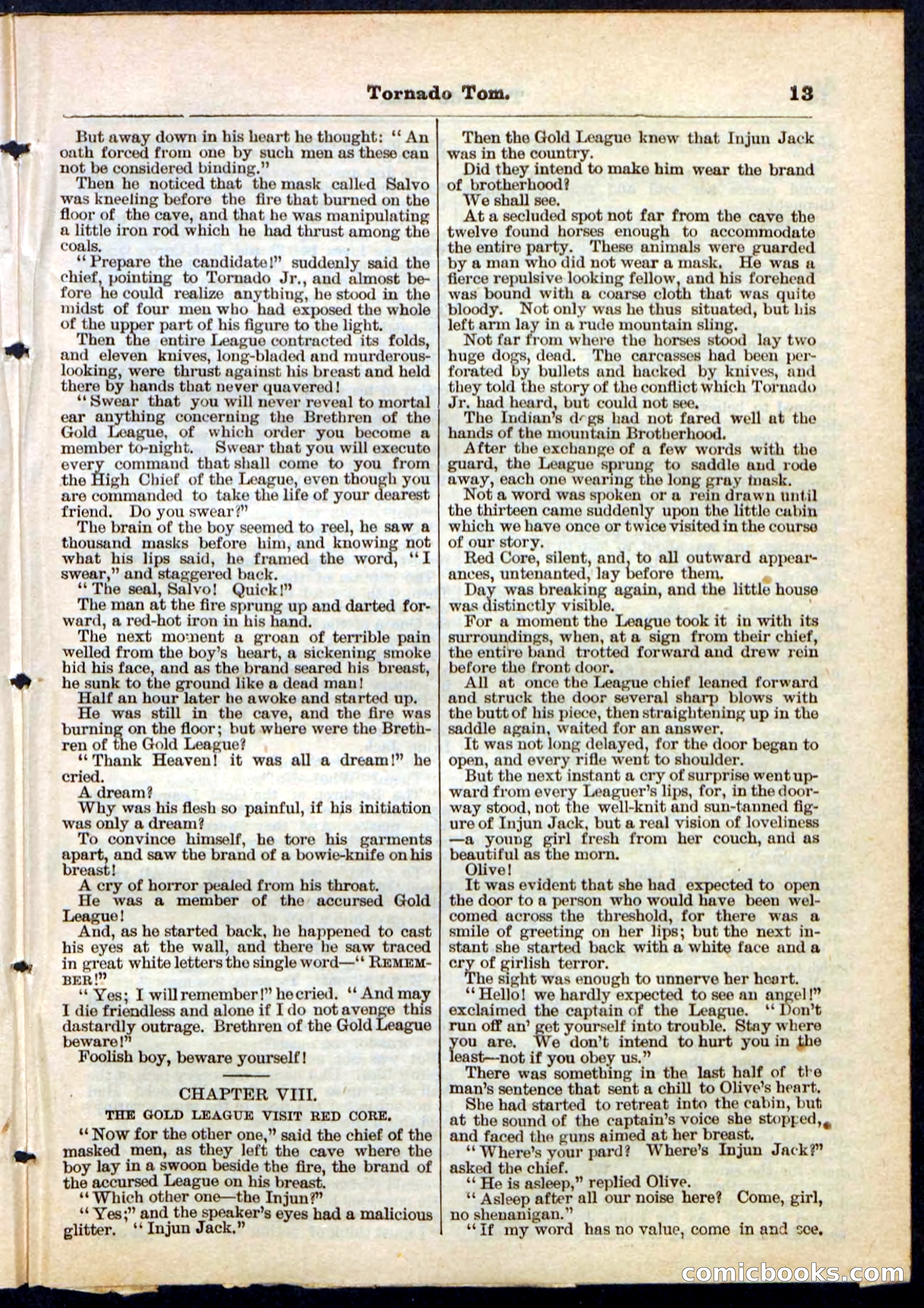 Beadle's Pocket Library No. 164 — page 13 of 32