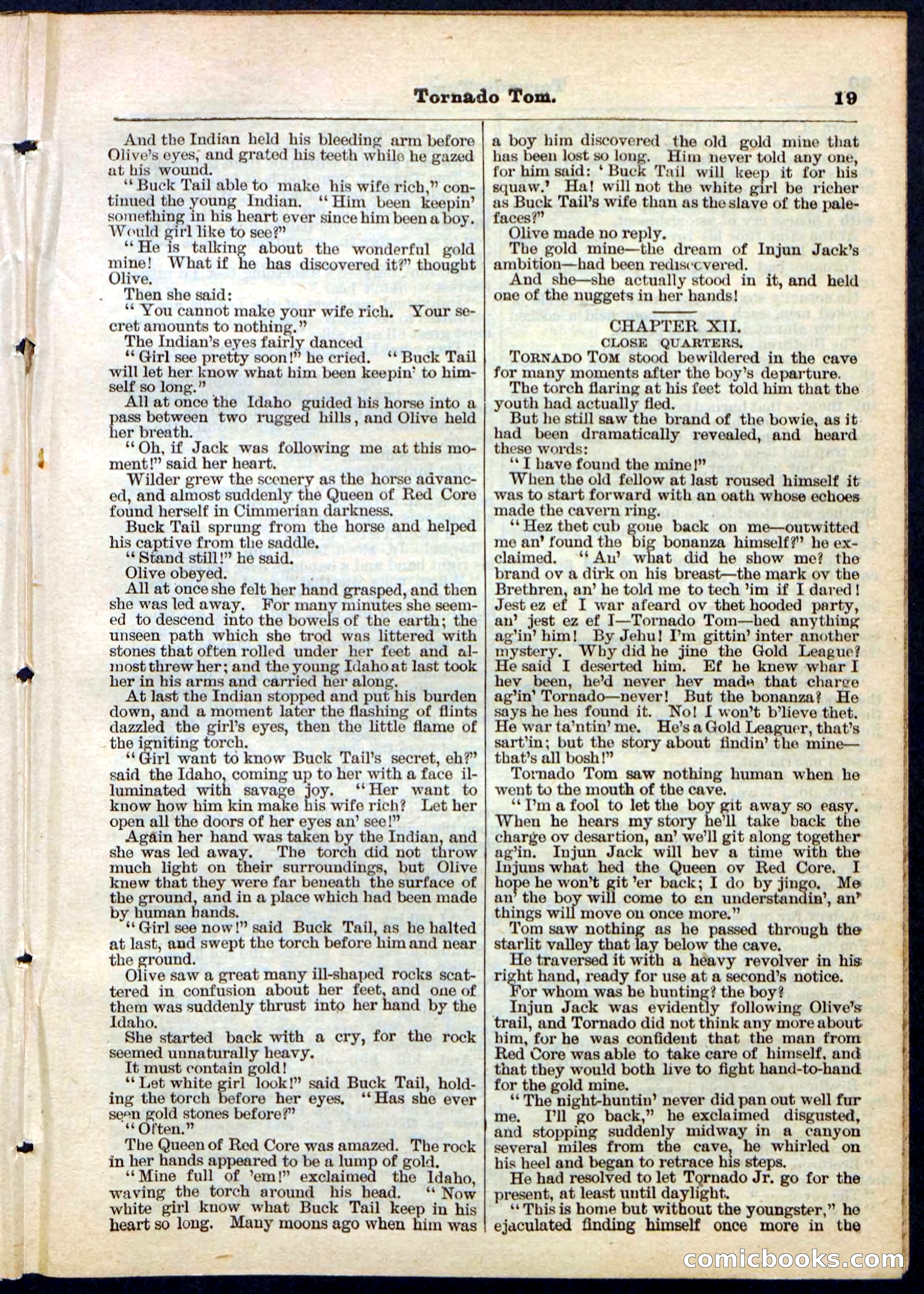 Beadle's Pocket Library No. 164 — page 19 of 32