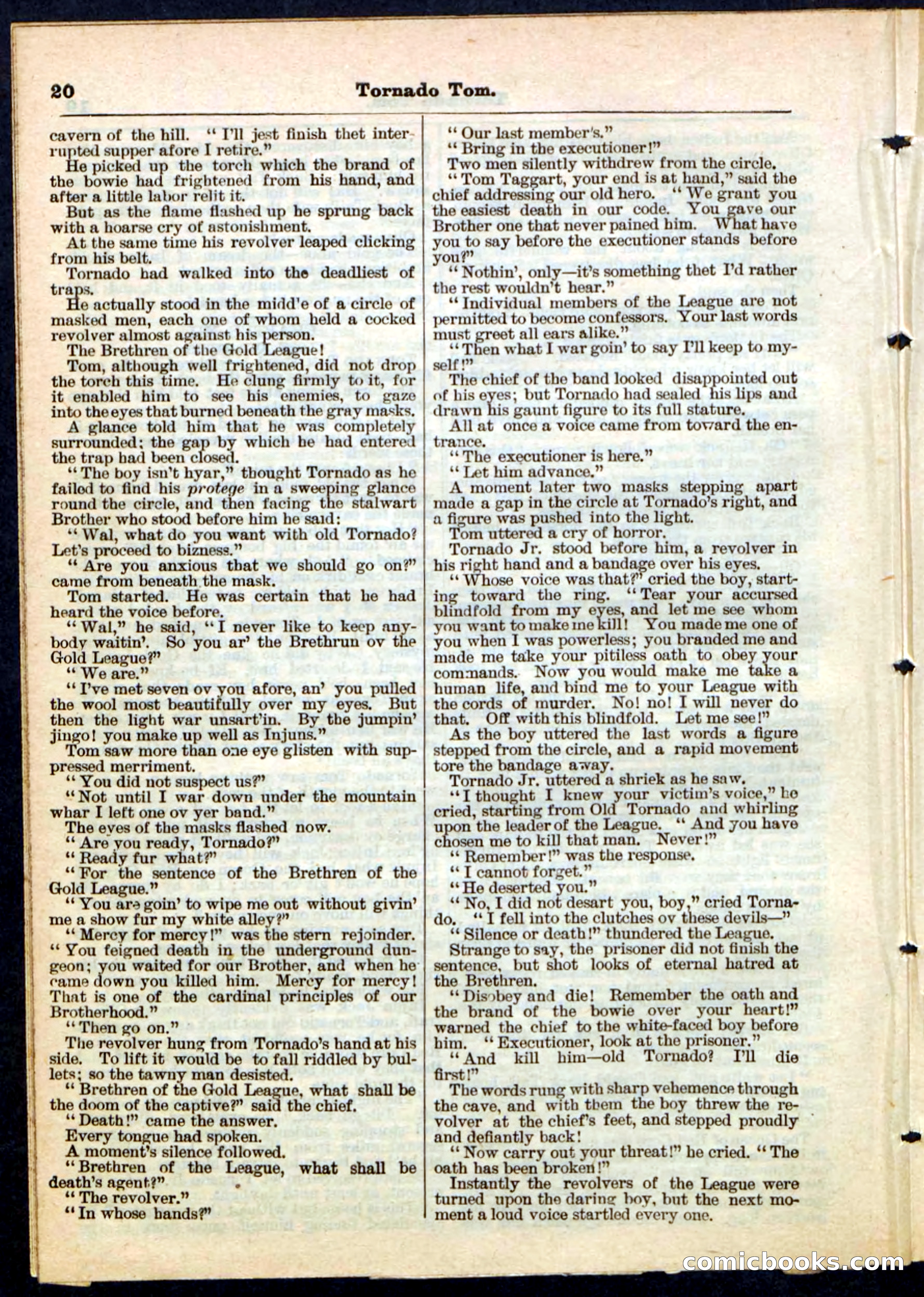 Beadle's Pocket Library No. 164 — page 20 of 32
