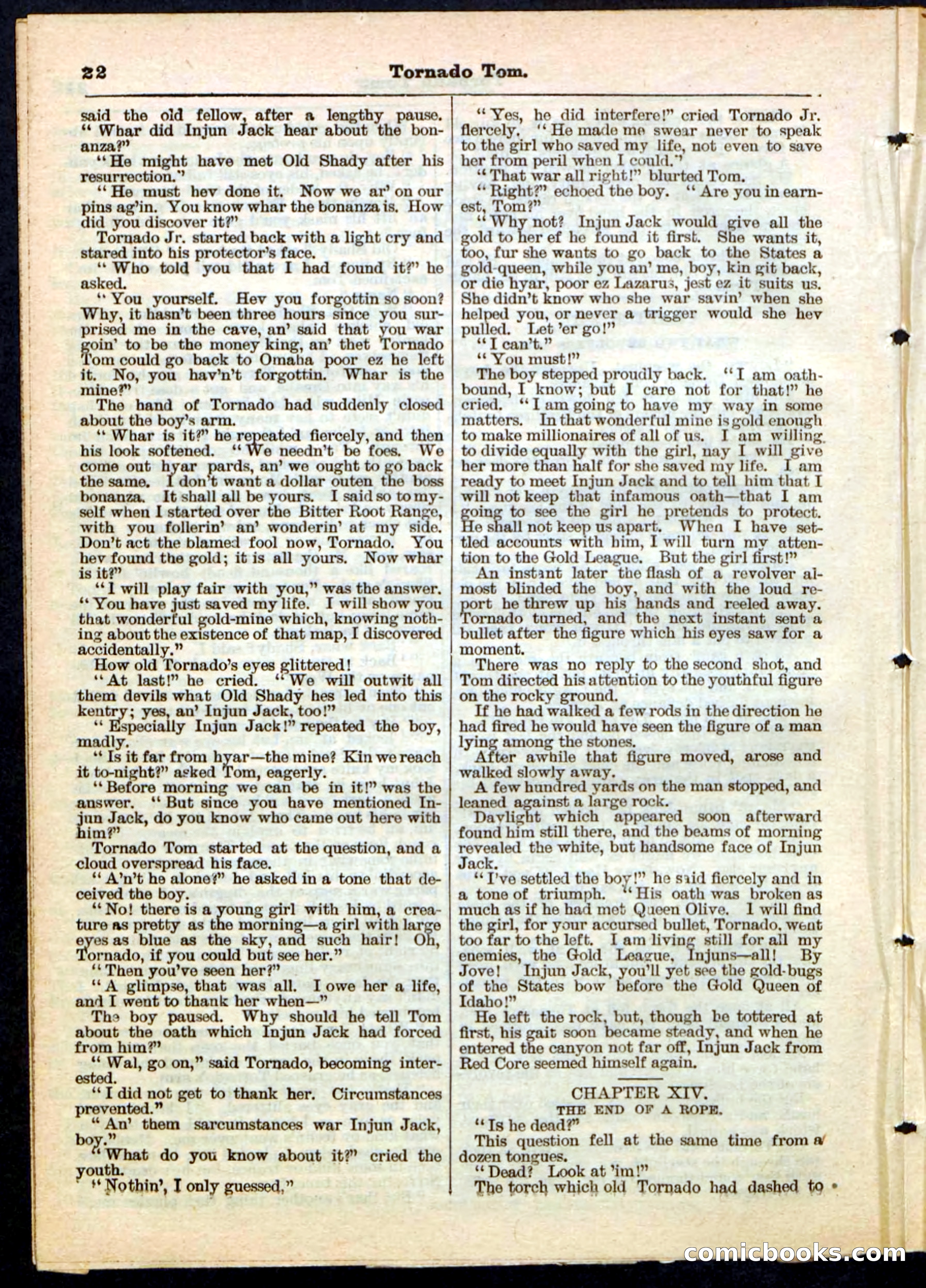 Beadle's Pocket Library No. 164 — page 22 of 32