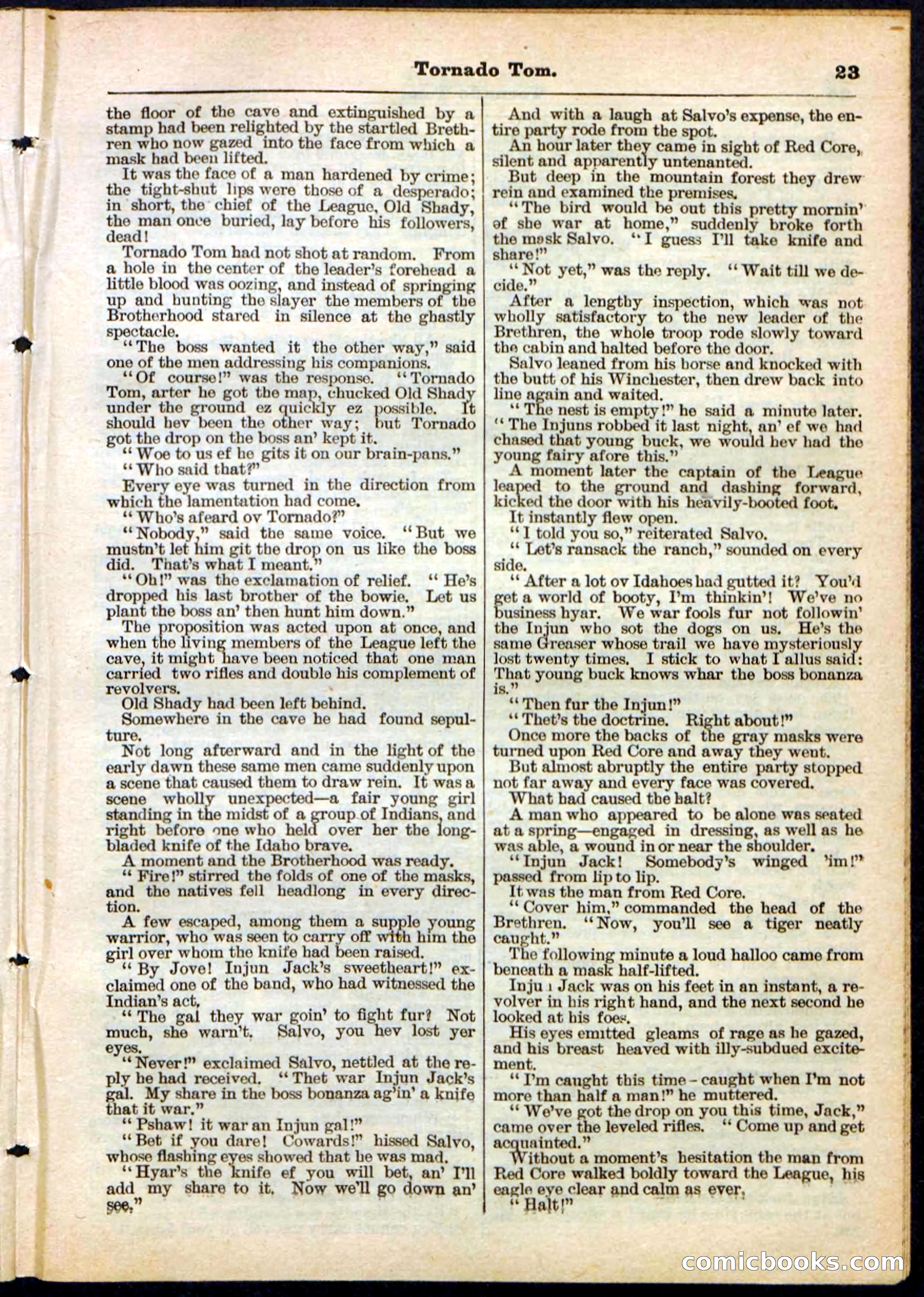 Beadle's Pocket Library No. 164 — page 23 of 32