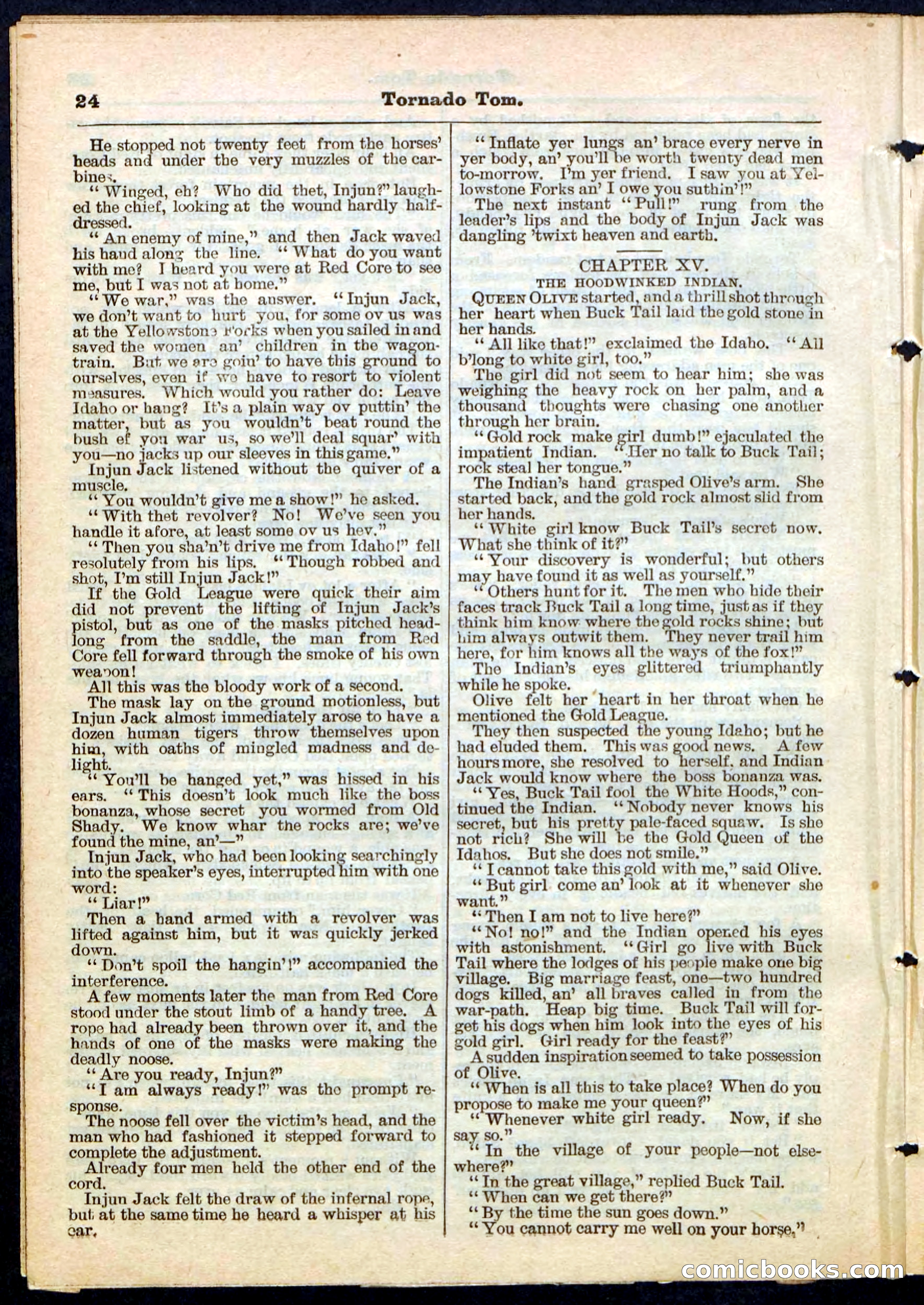 Beadle's Pocket Library No. 164 — page 24 of 32