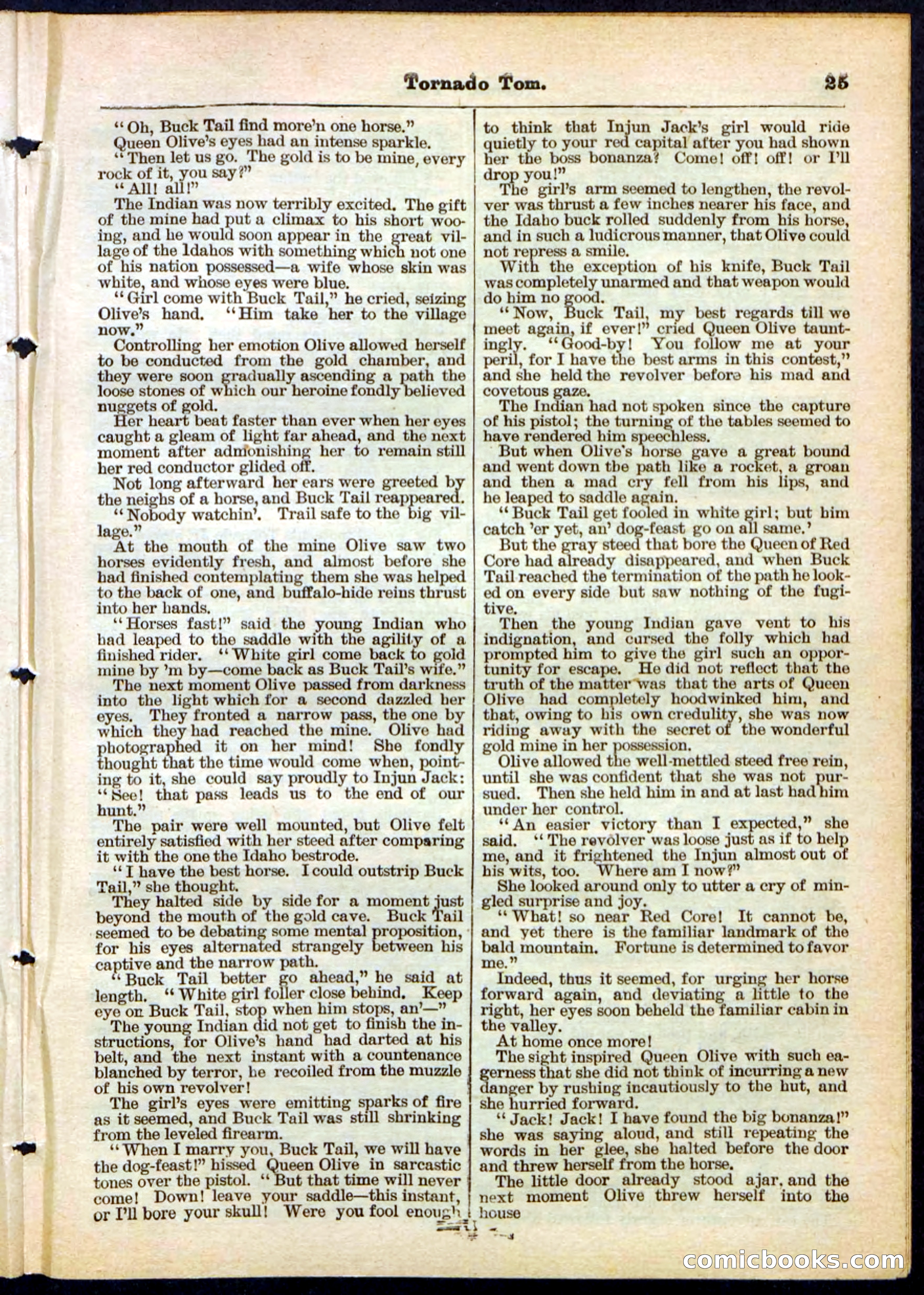 Beadle's Pocket Library No. 164 — page 25 of 32
