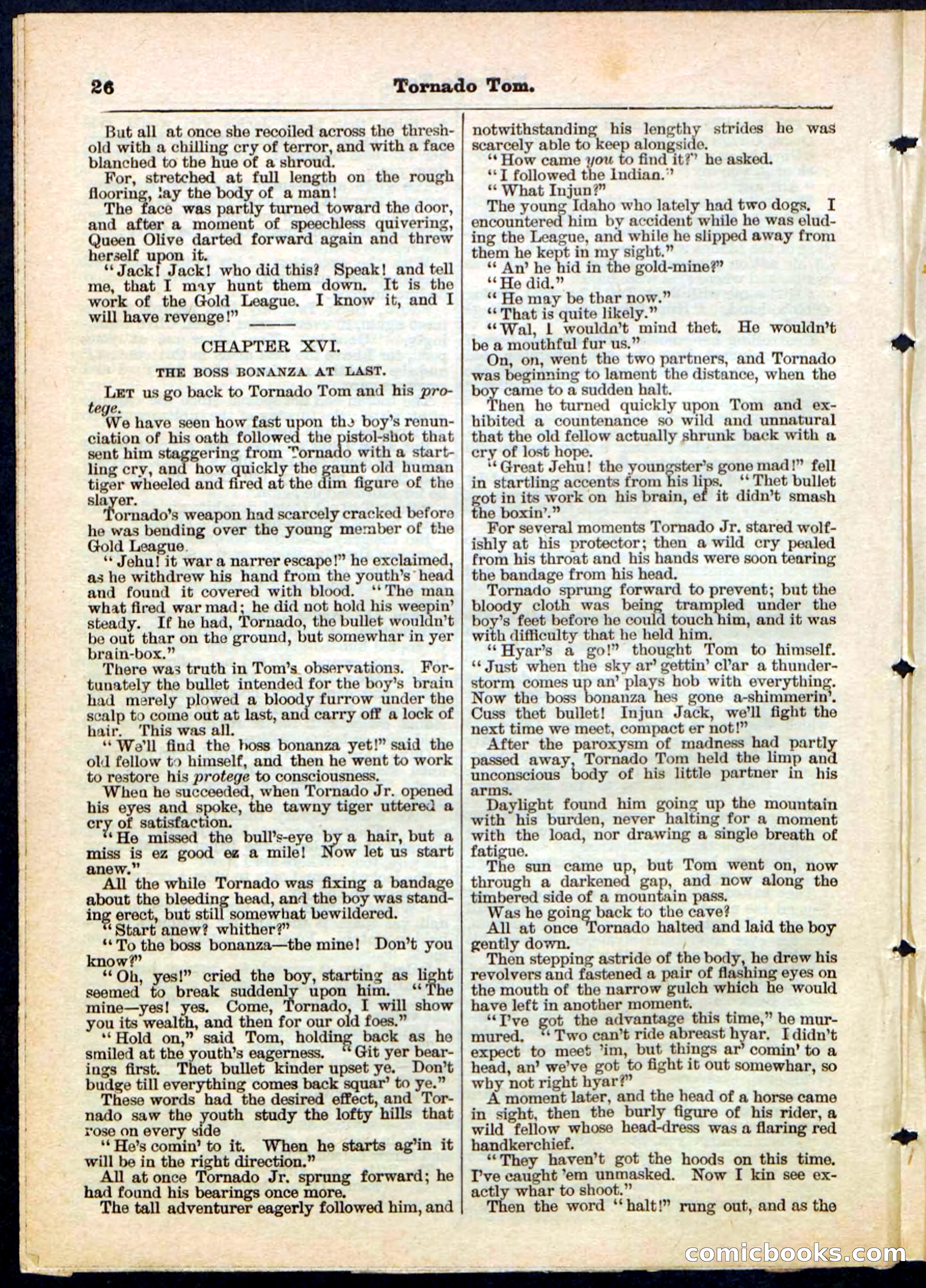 Beadle's Pocket Library No. 164 — page 26 of 32