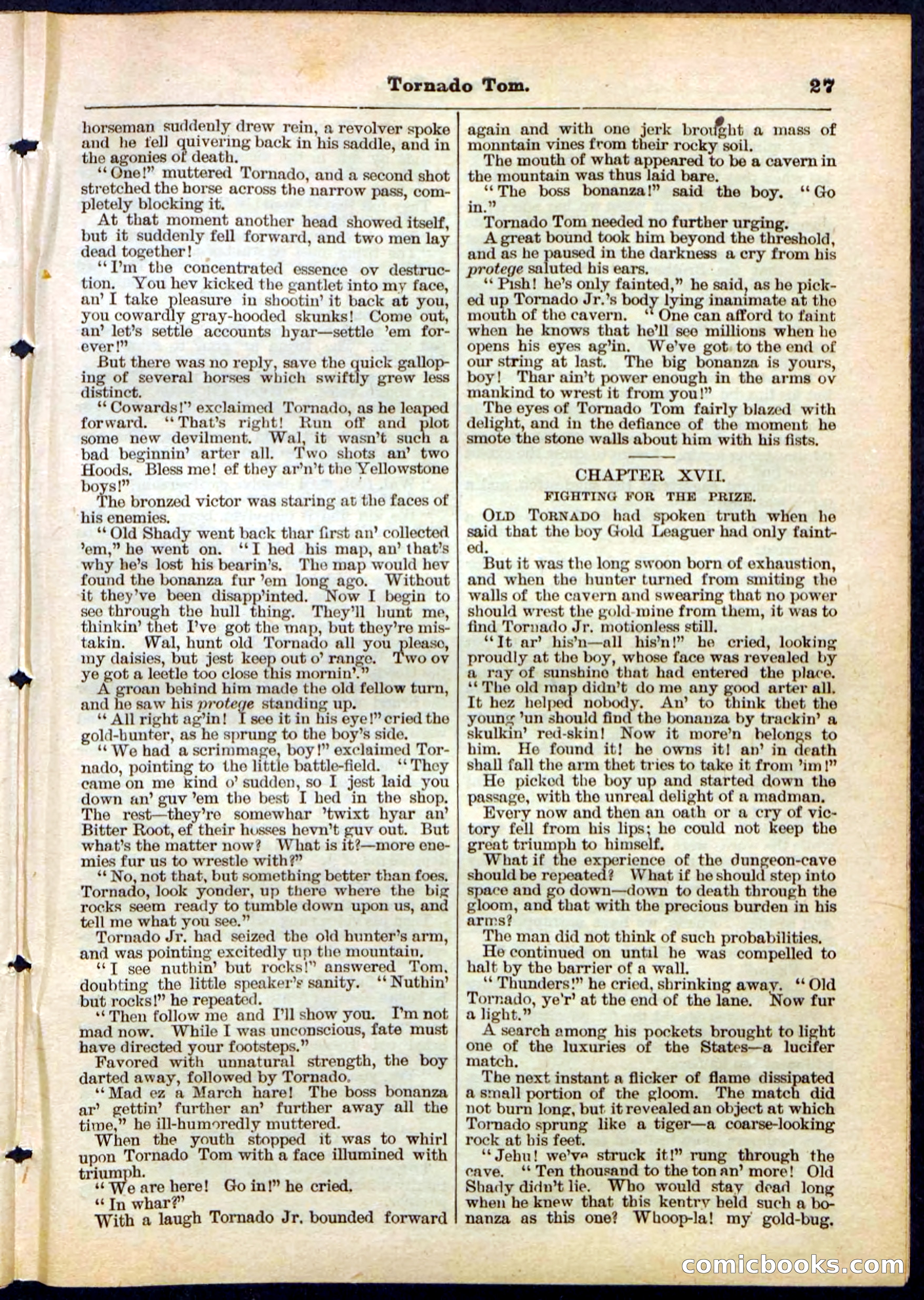 Beadle's Pocket Library No. 164 — page 27 of 32