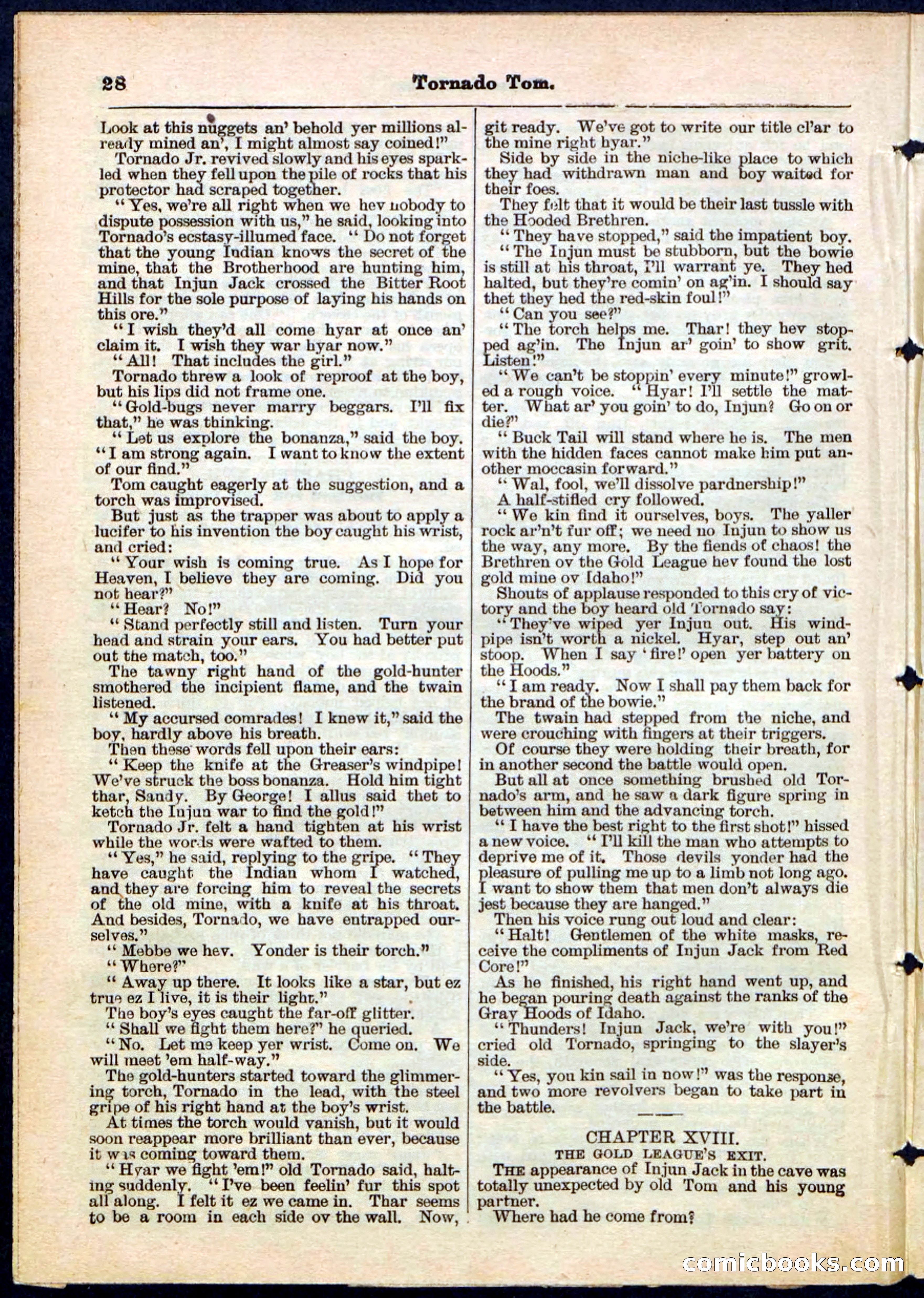 Beadle's Pocket Library No. 164 — page 28 of 32