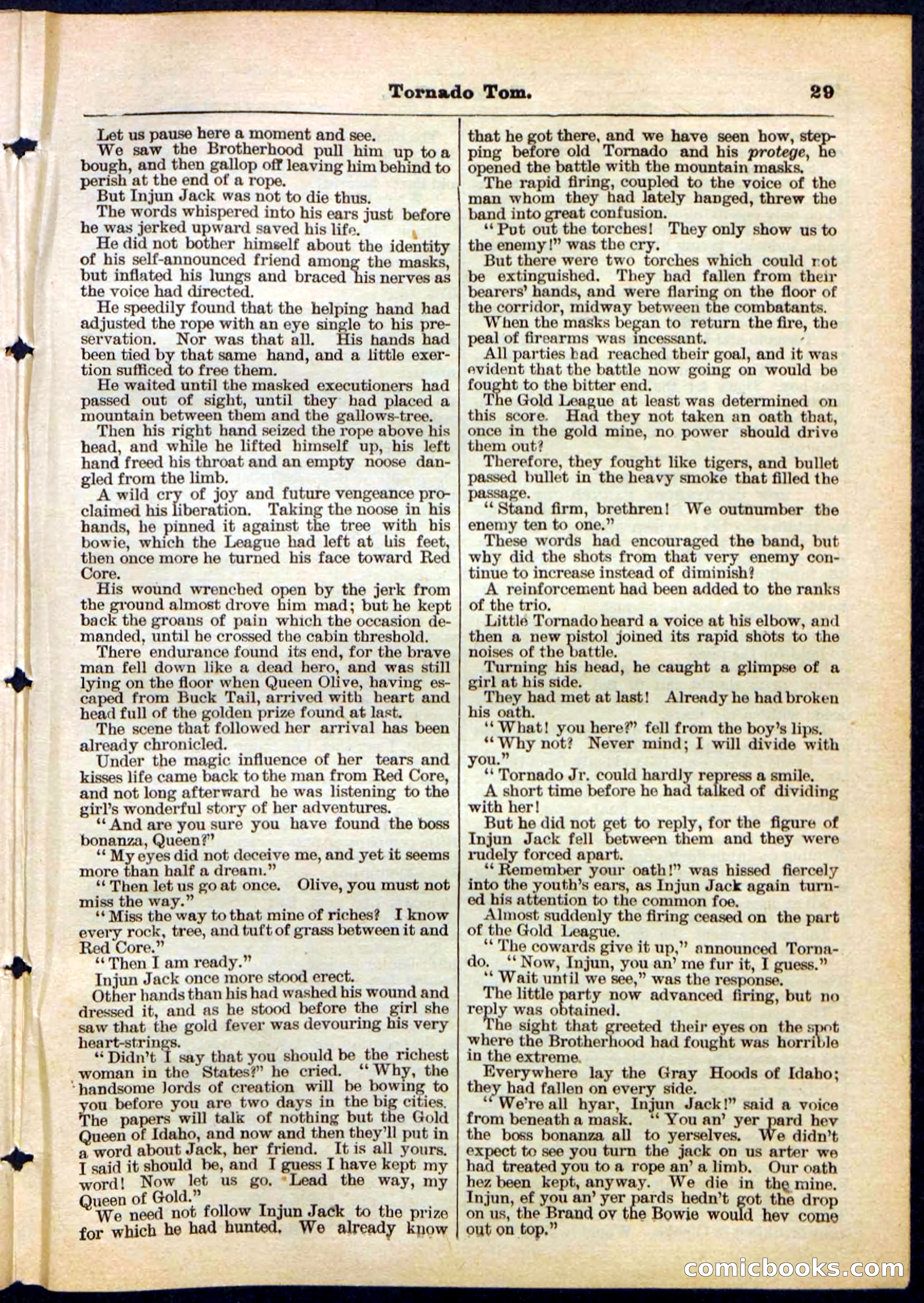 Beadle's Pocket Library No. 164 — page 29 of 32