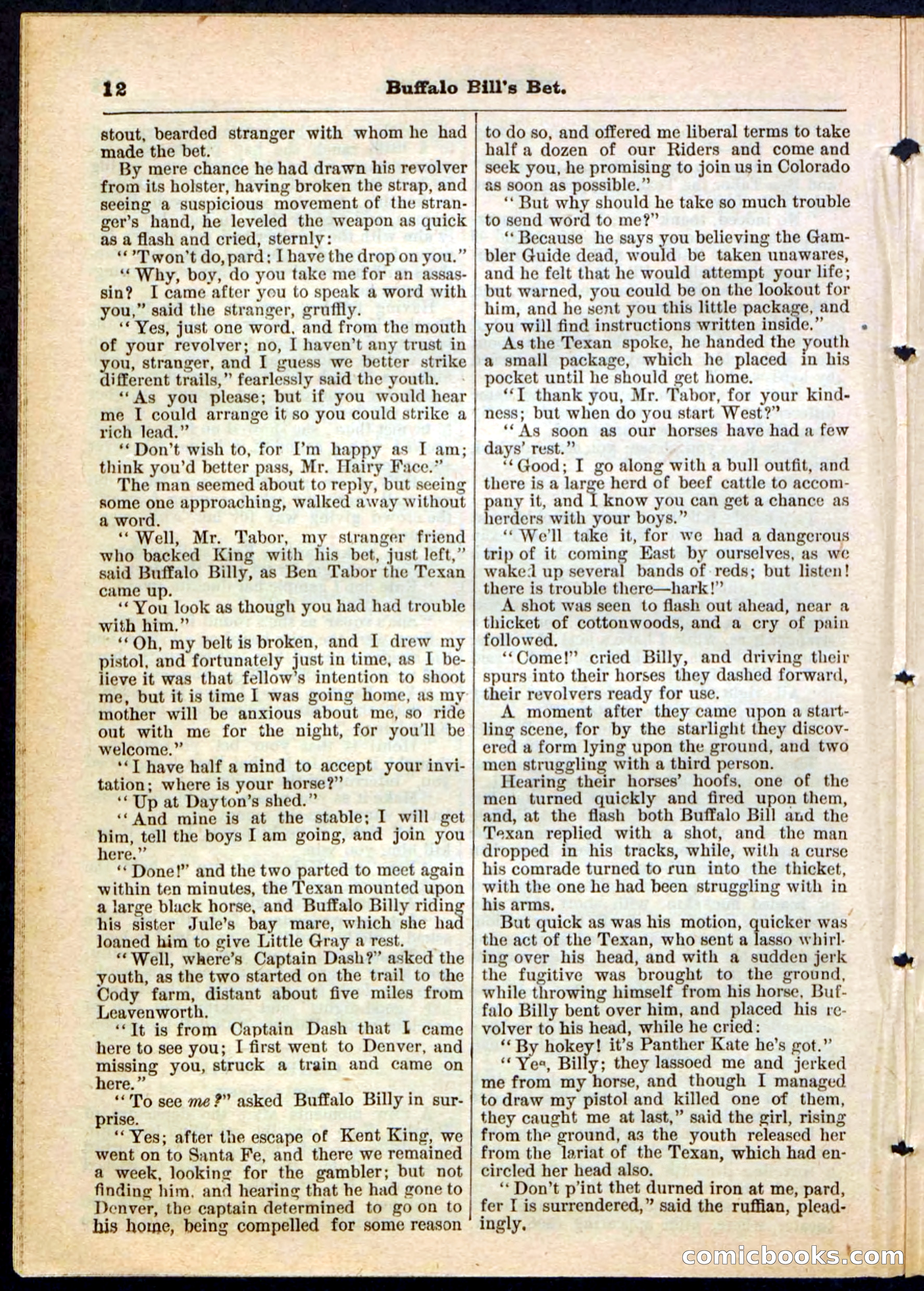 Beadle's Pocket Library No. 165 — page 12 of 32