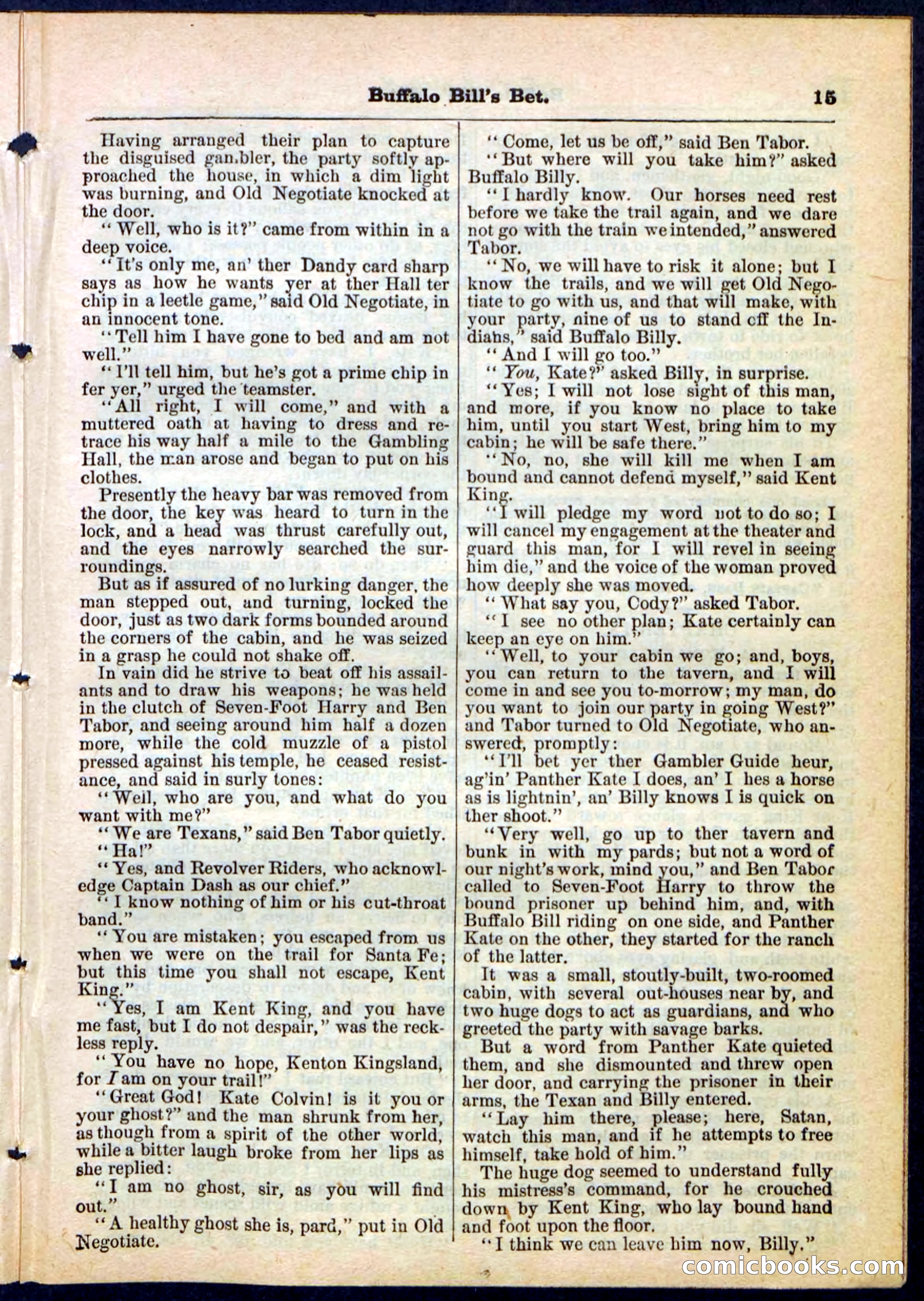 Beadle's Pocket Library No. 165 — page 15 of 32