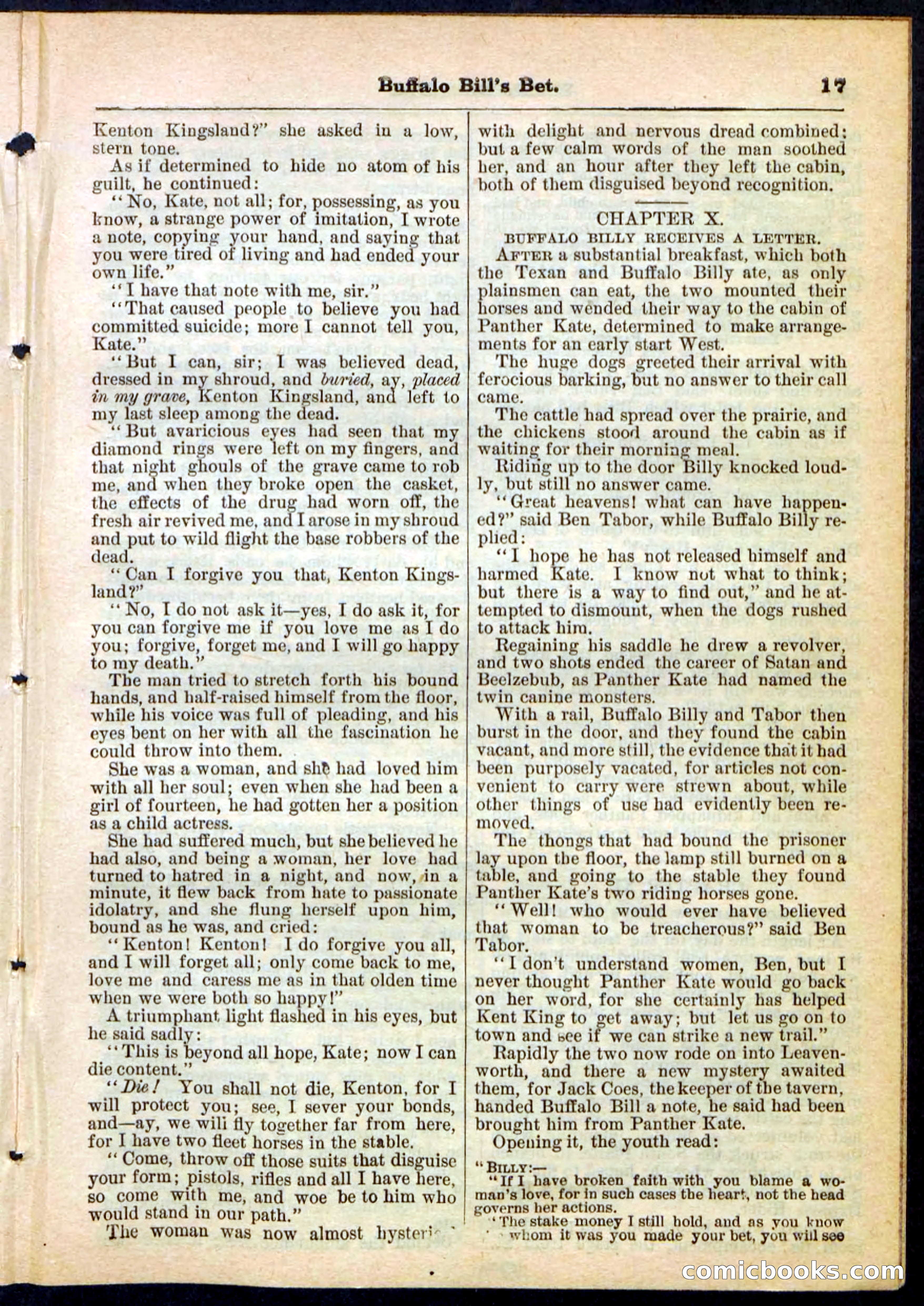 Beadle's Pocket Library No. 165 — page 17 of 32
