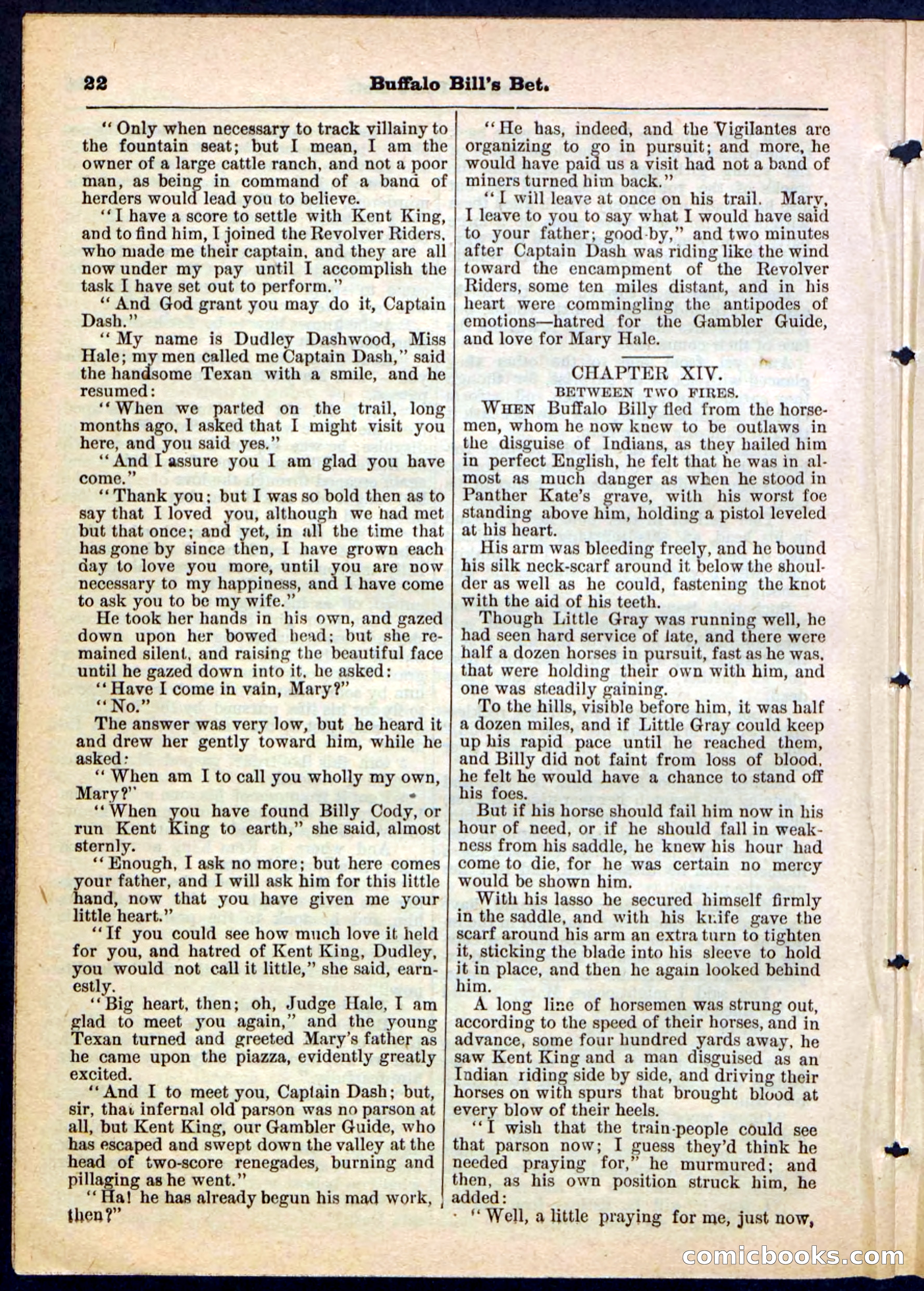 Beadle's Pocket Library No. 165 — page 22 of 32