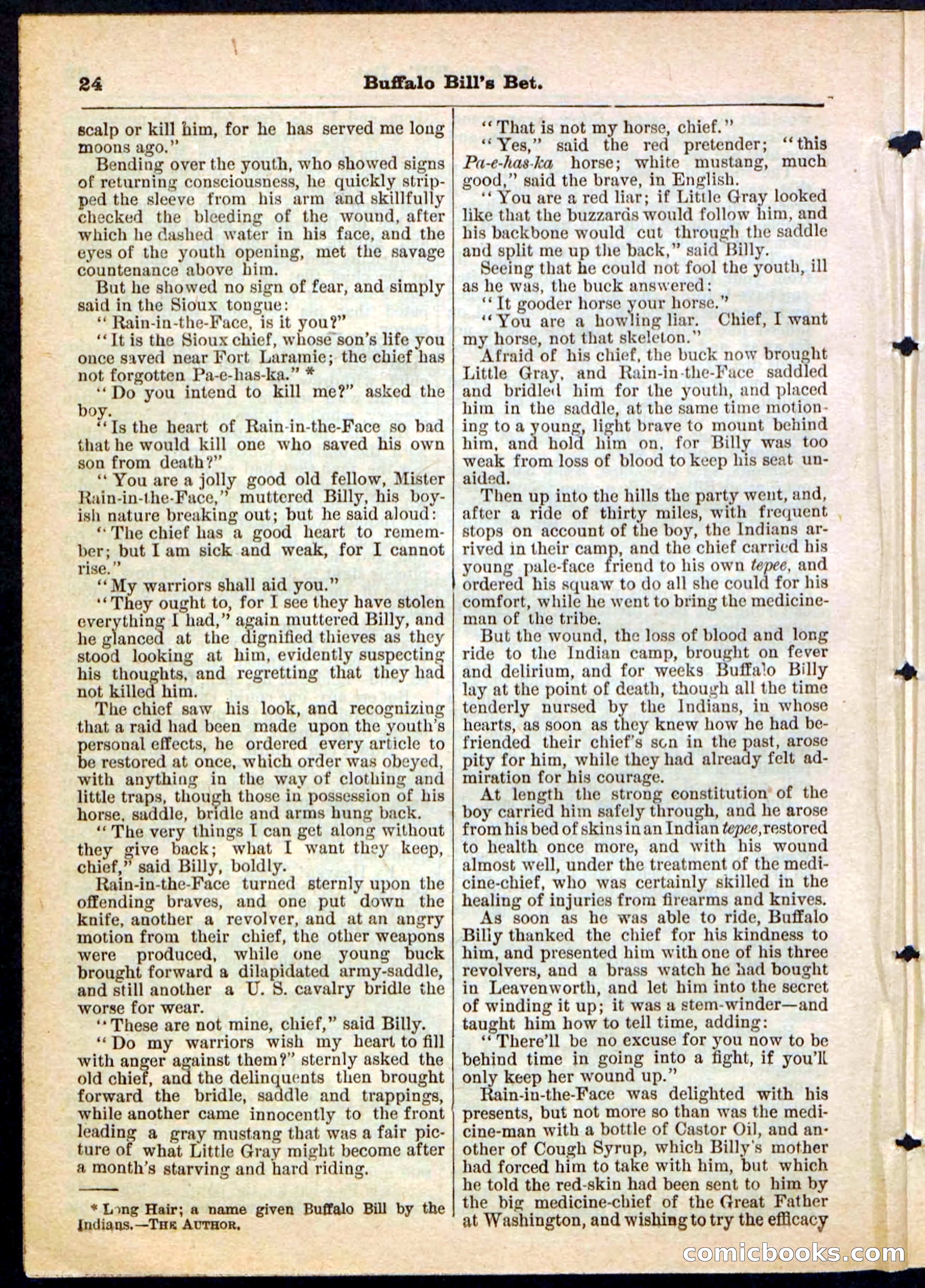 Beadle's Pocket Library No. 165 — page 24 of 32