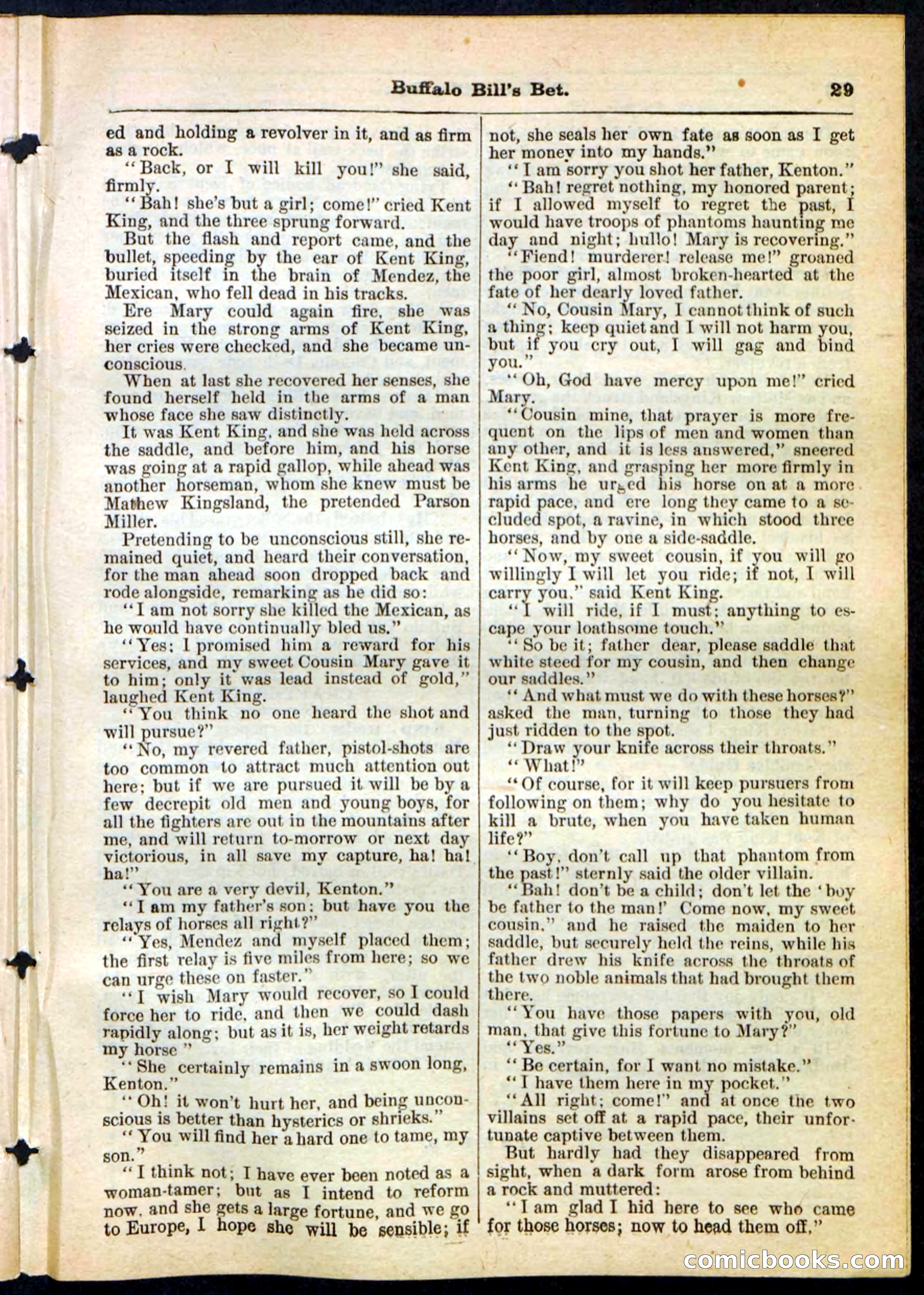 Beadle's Pocket Library No. 165 — page 29 of 32
