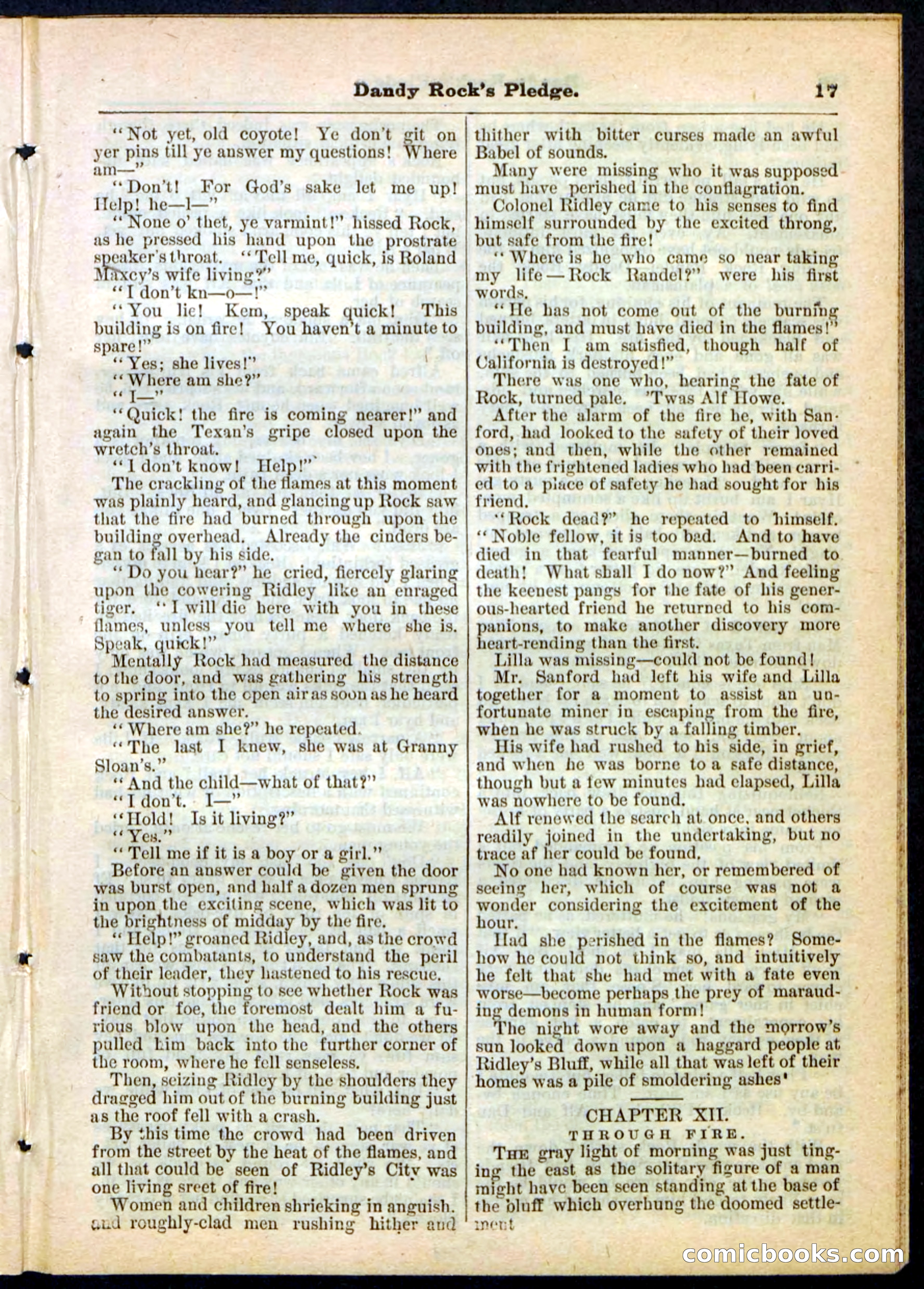 Beadle's Pocket Library No. 167 — page 17 of 32