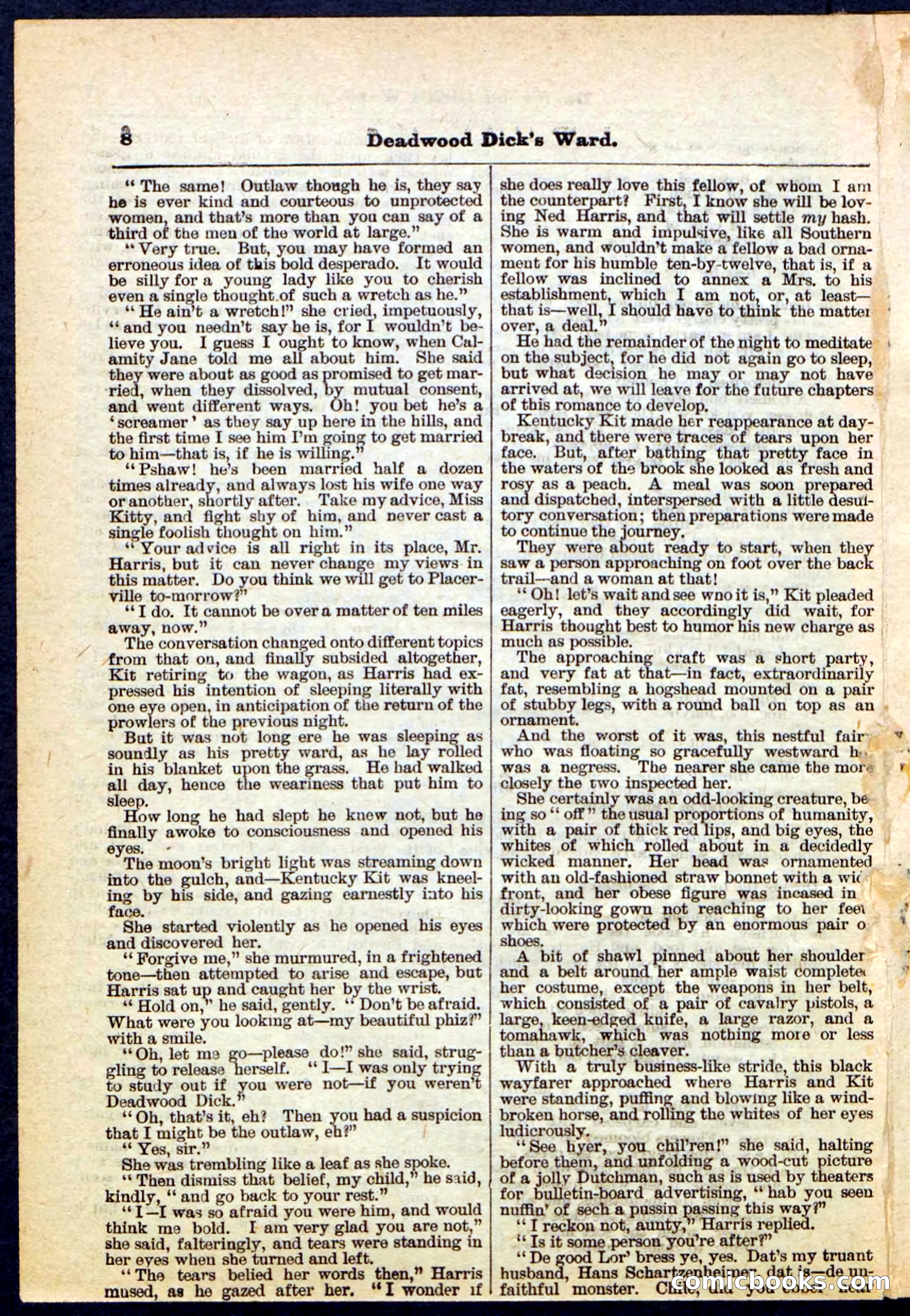 Beadle's Pocket Library No. 168 — page 8 of 32