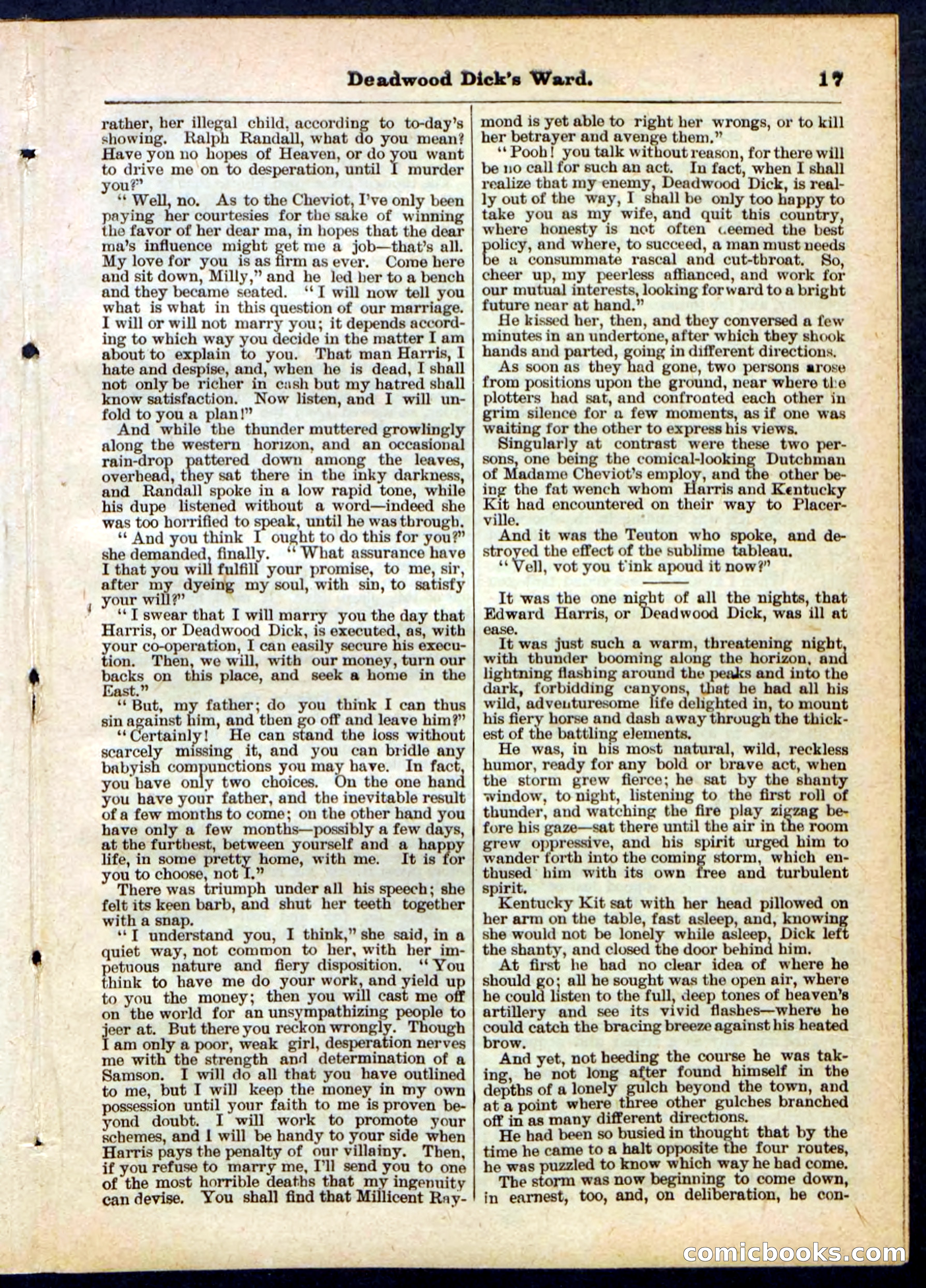 Beadle's Pocket Library No. 168 — page 17 of 32