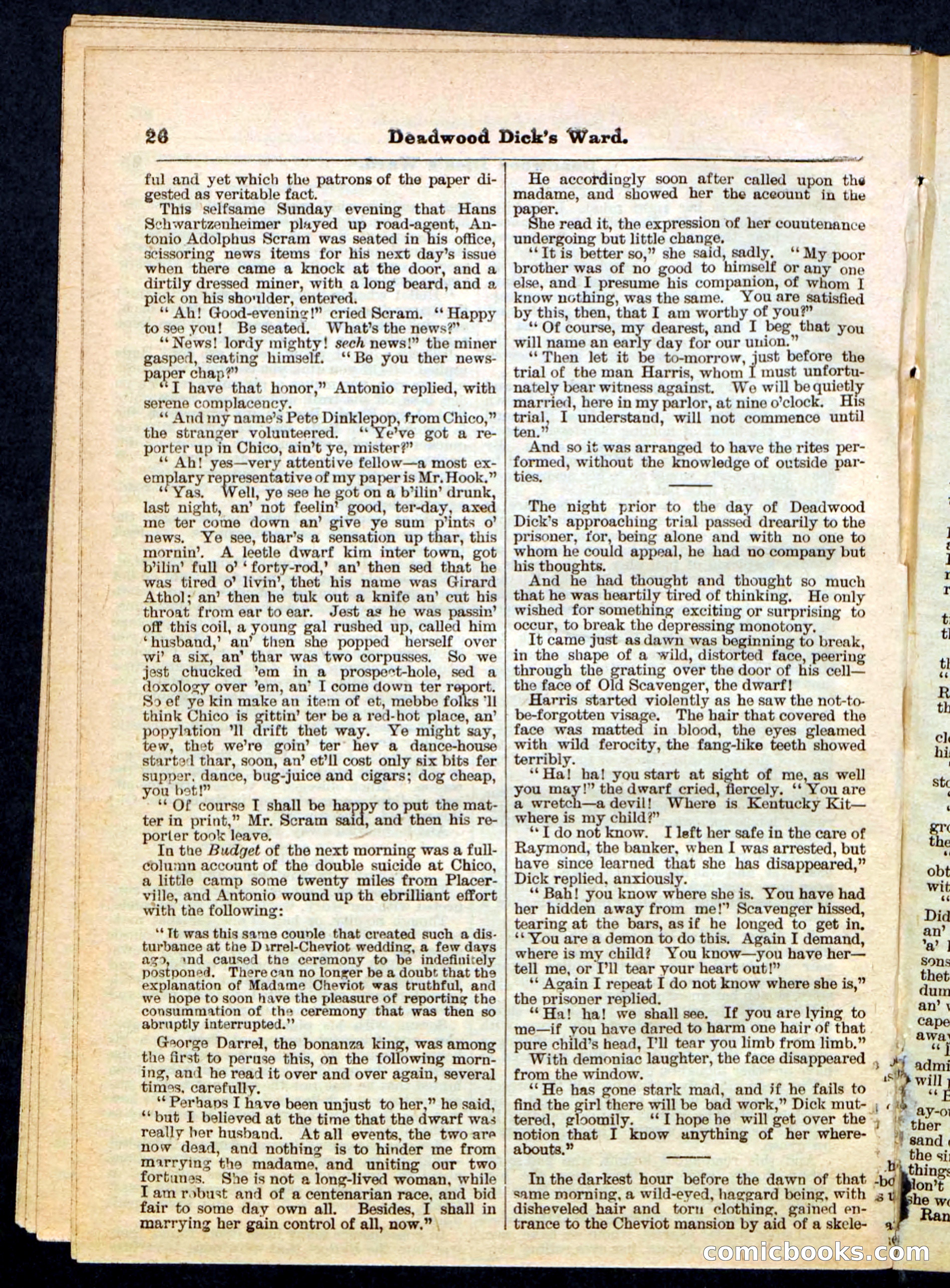 Beadle's Pocket Library No. 168 — page 26 of 32