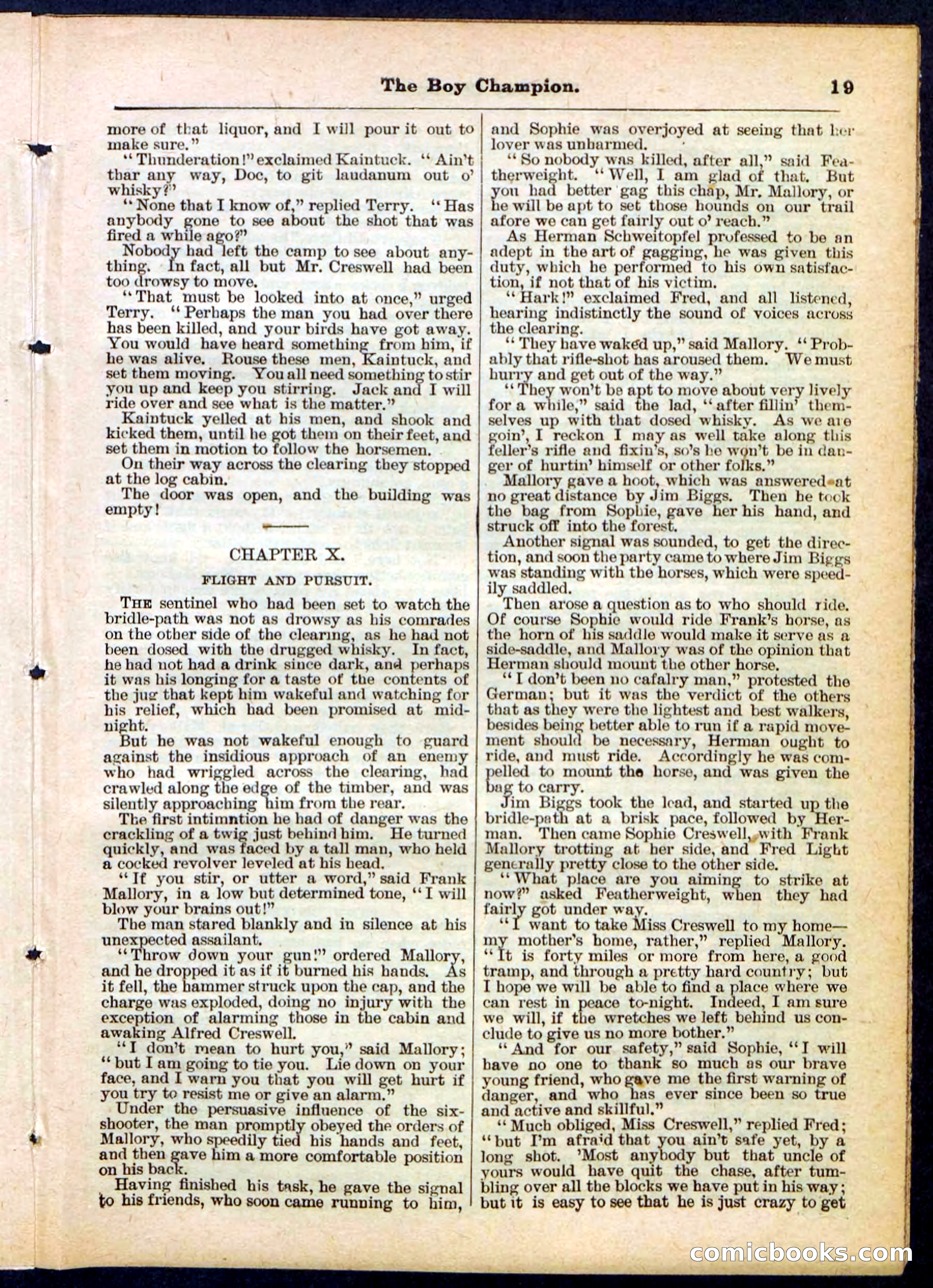 Beadle's Pocket Library No. 169 — page 19 of 32