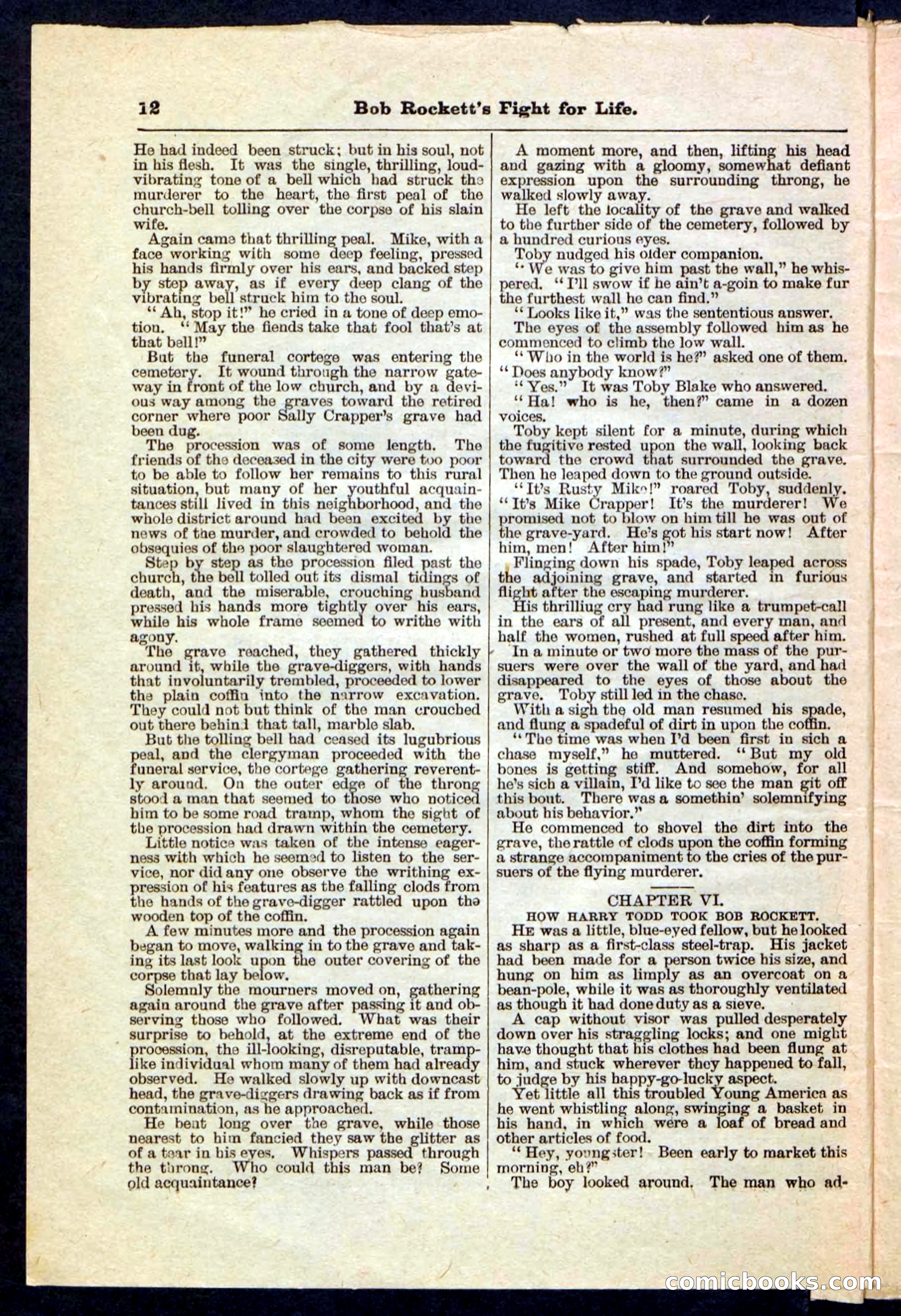 Beadle's Pocket Library No. 170 — page 12 of 32