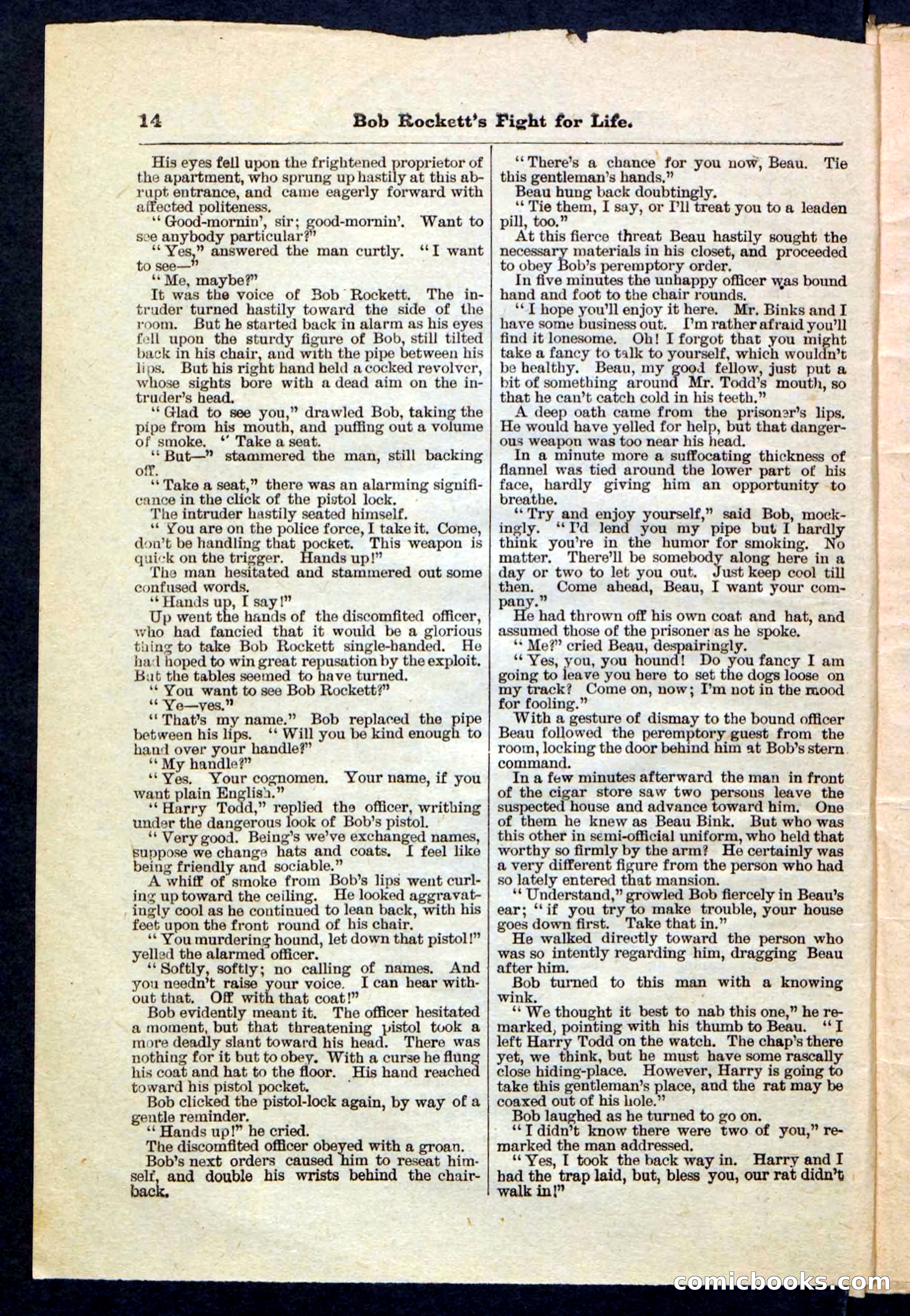 Beadle's Pocket Library No. 170 — page 14 of 32