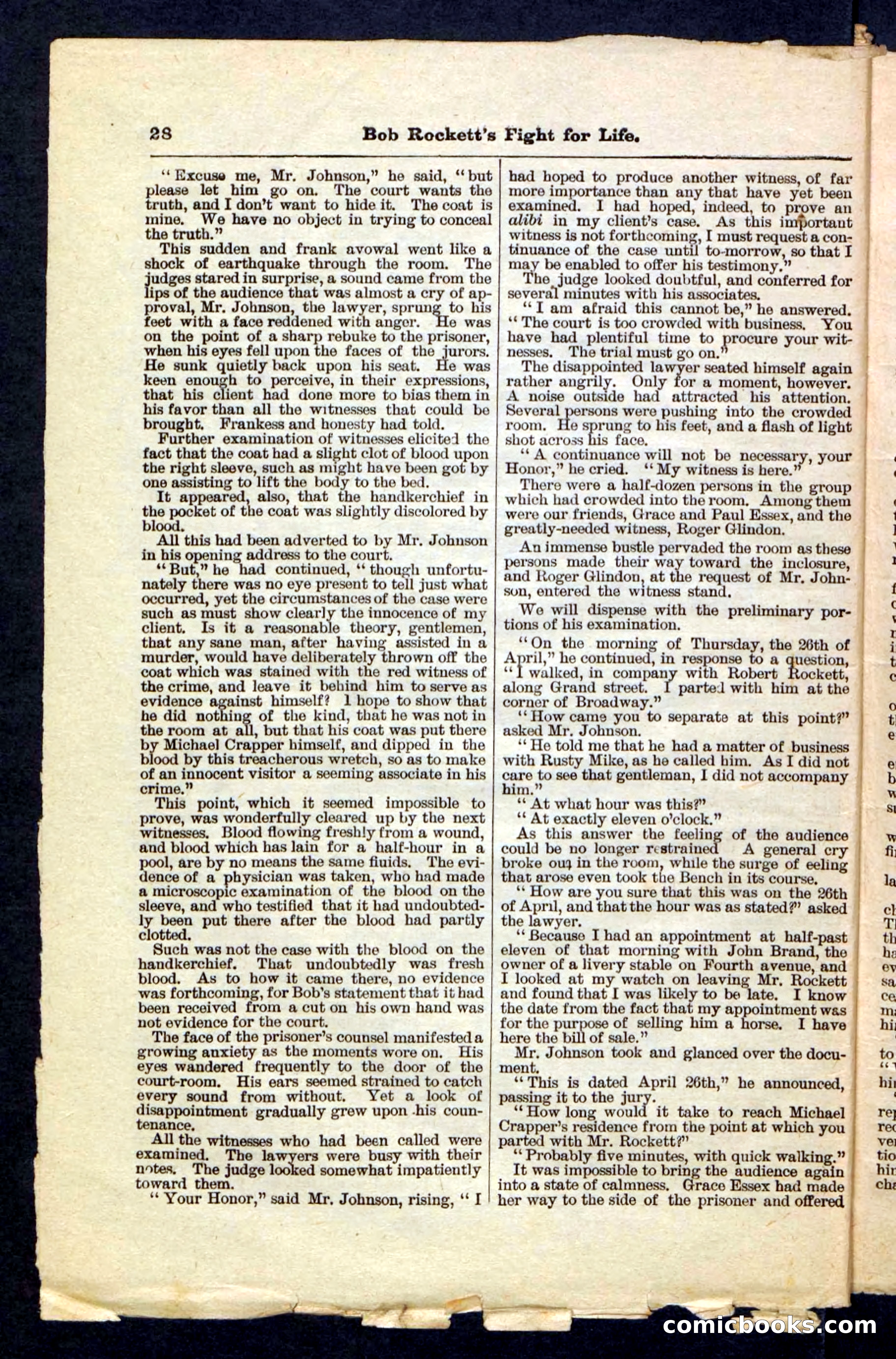 Beadle's Pocket Library No. 170 — page 28 of 32