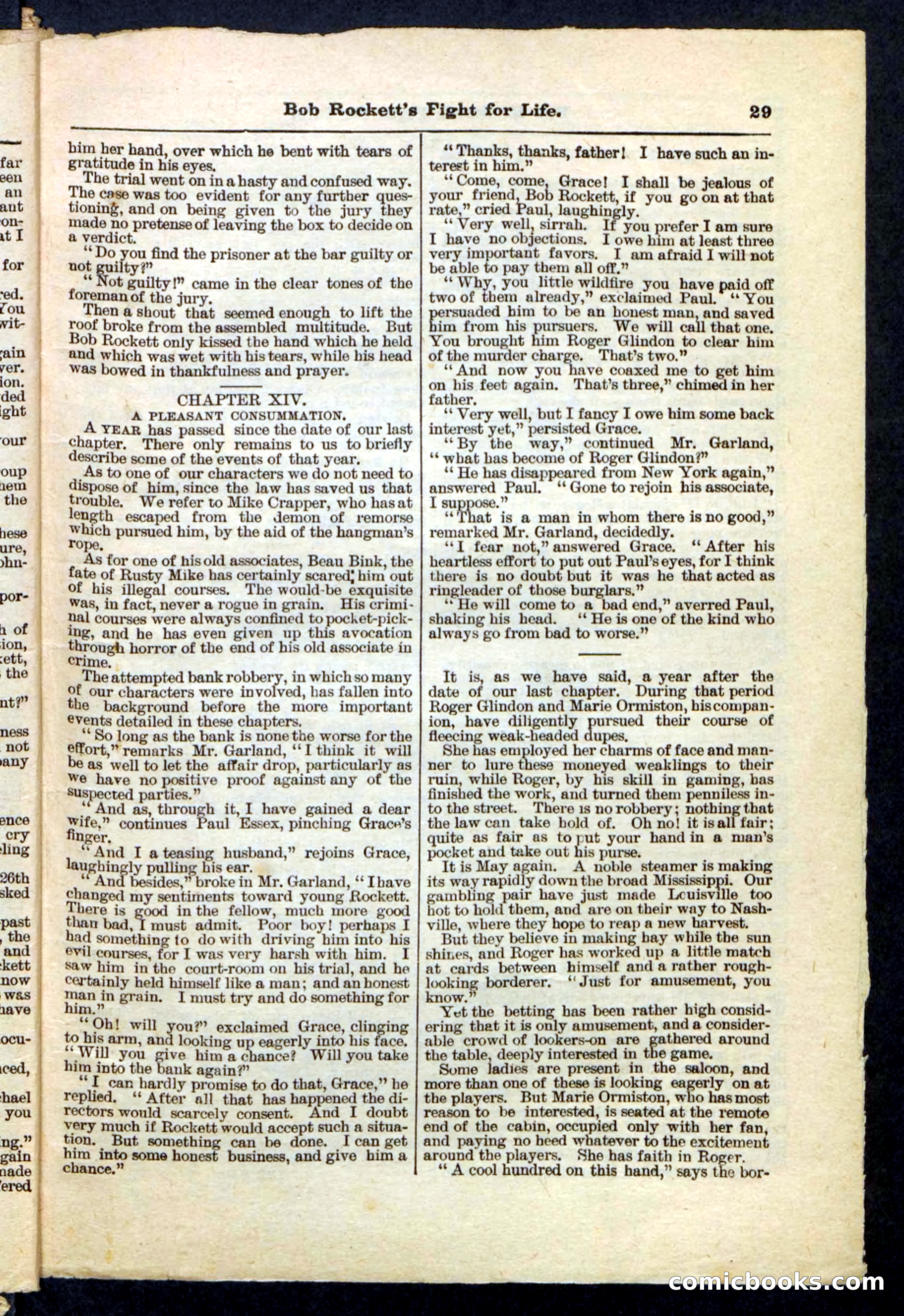 Beadle's Pocket Library No. 170 — page 29 of 32