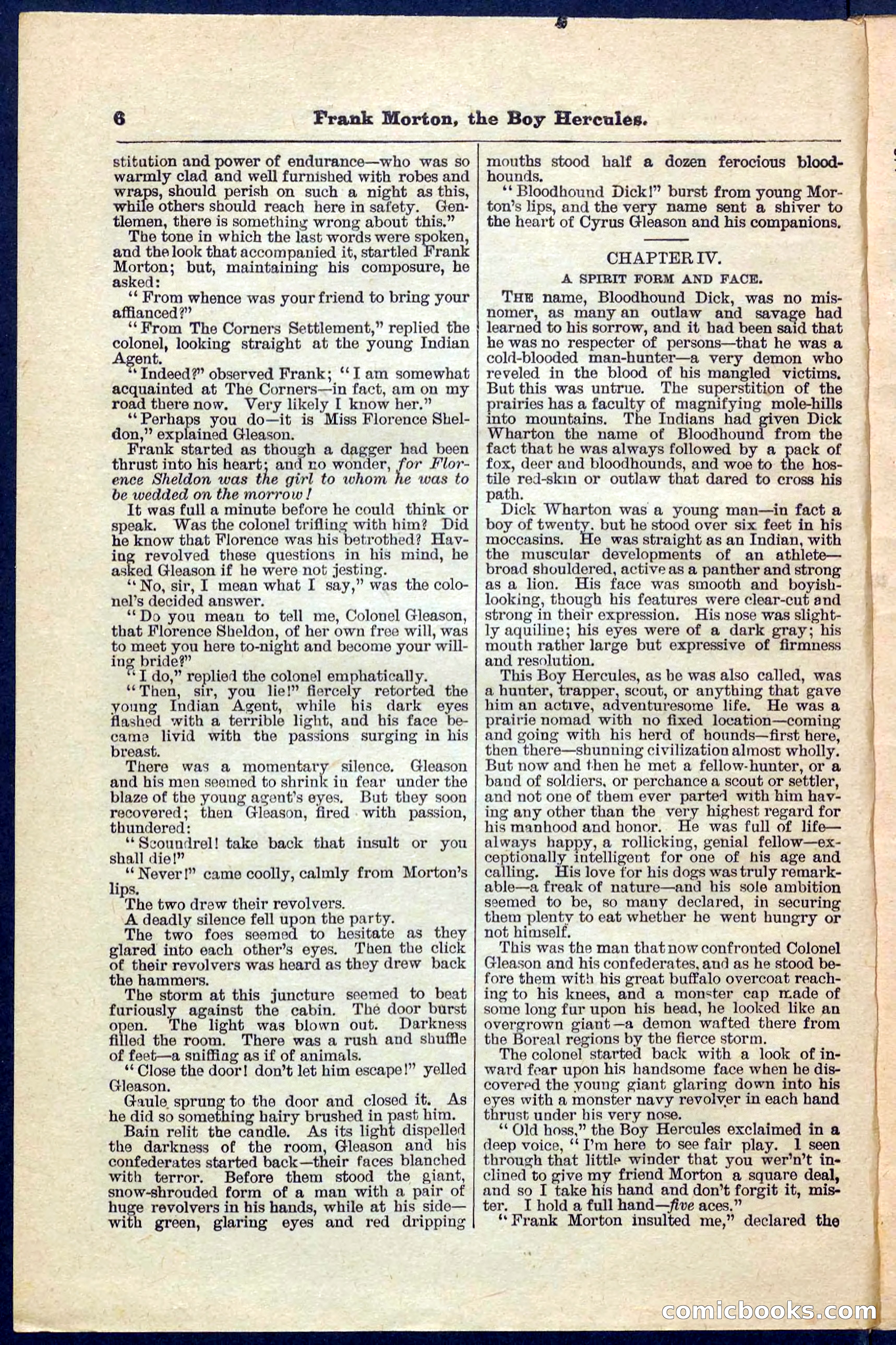 Beadle's Pocket Library No. 171 — page 6 of 32