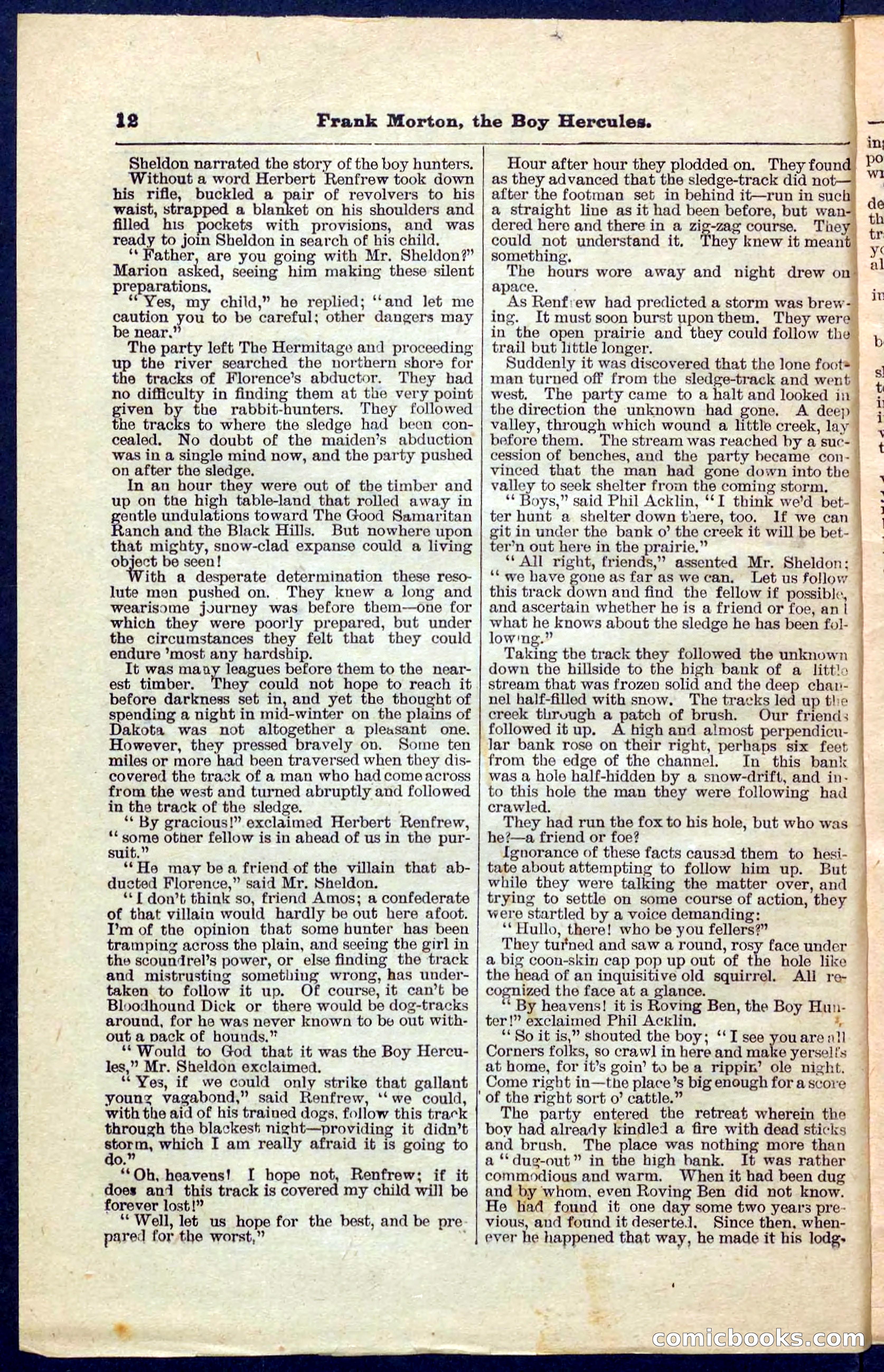Beadle's Pocket Library No. 171 — page 12 of 32