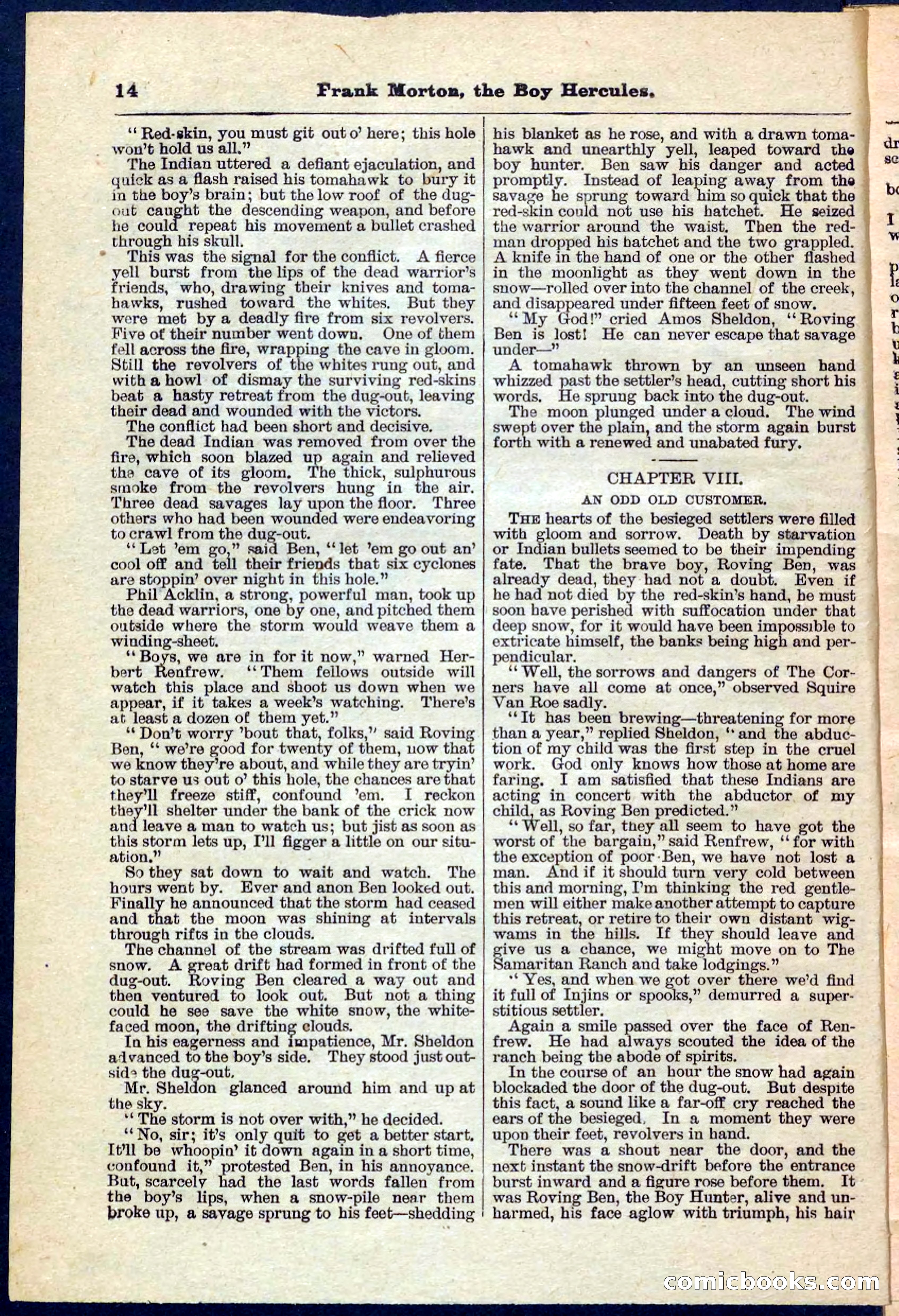 Beadle's Pocket Library No. 171 — page 14 of 32